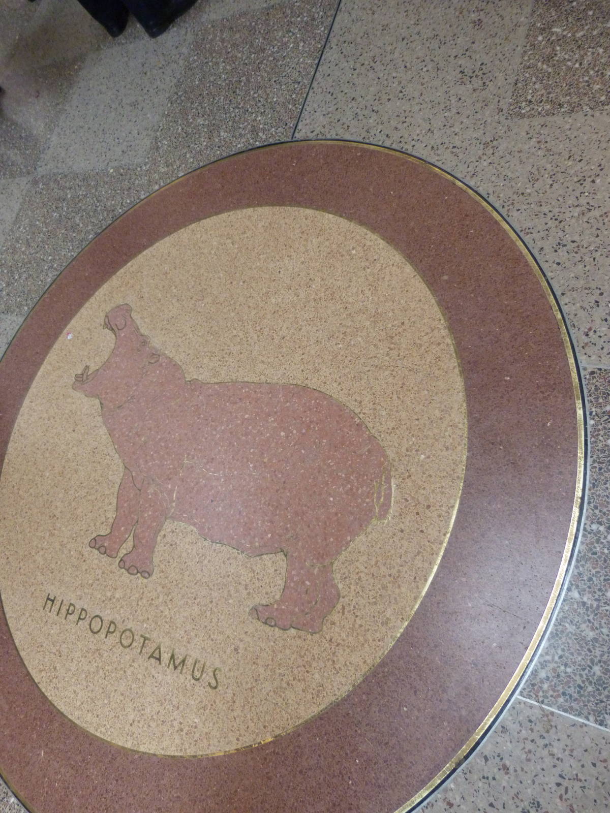 Hippo Plate on Floor