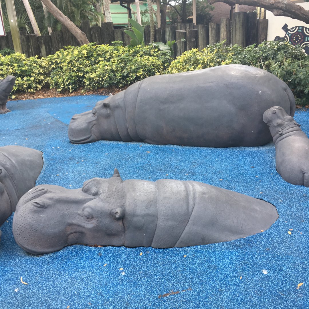 Hippo Play Area
