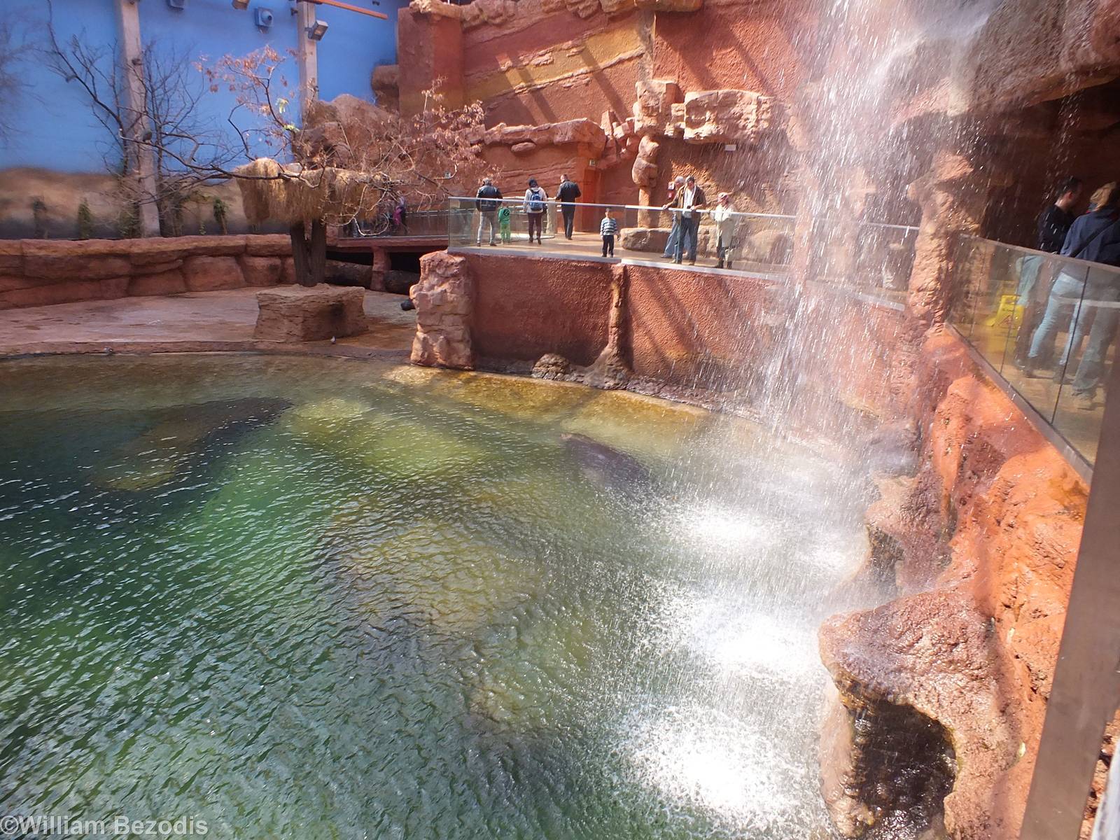 Hippo Pool - Afrykarium