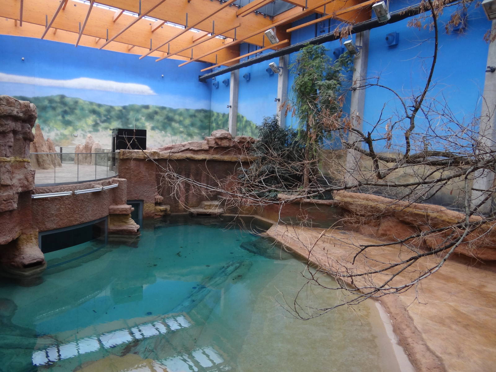 Hippo pool and enclosure