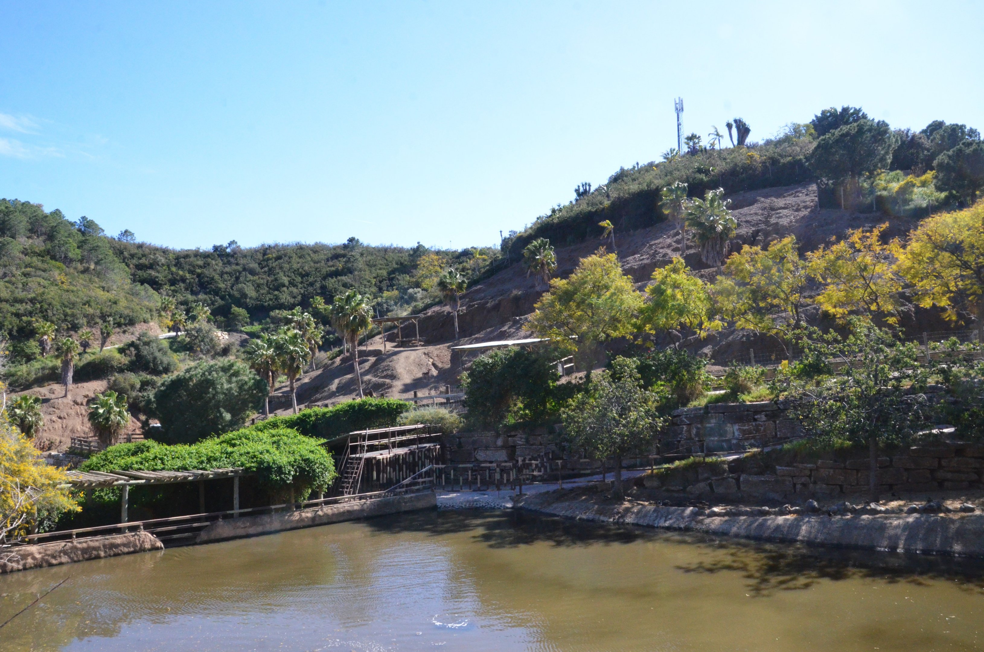 Hippo Pool and Lake Reserve at Selwo Aventura, 13/03/19