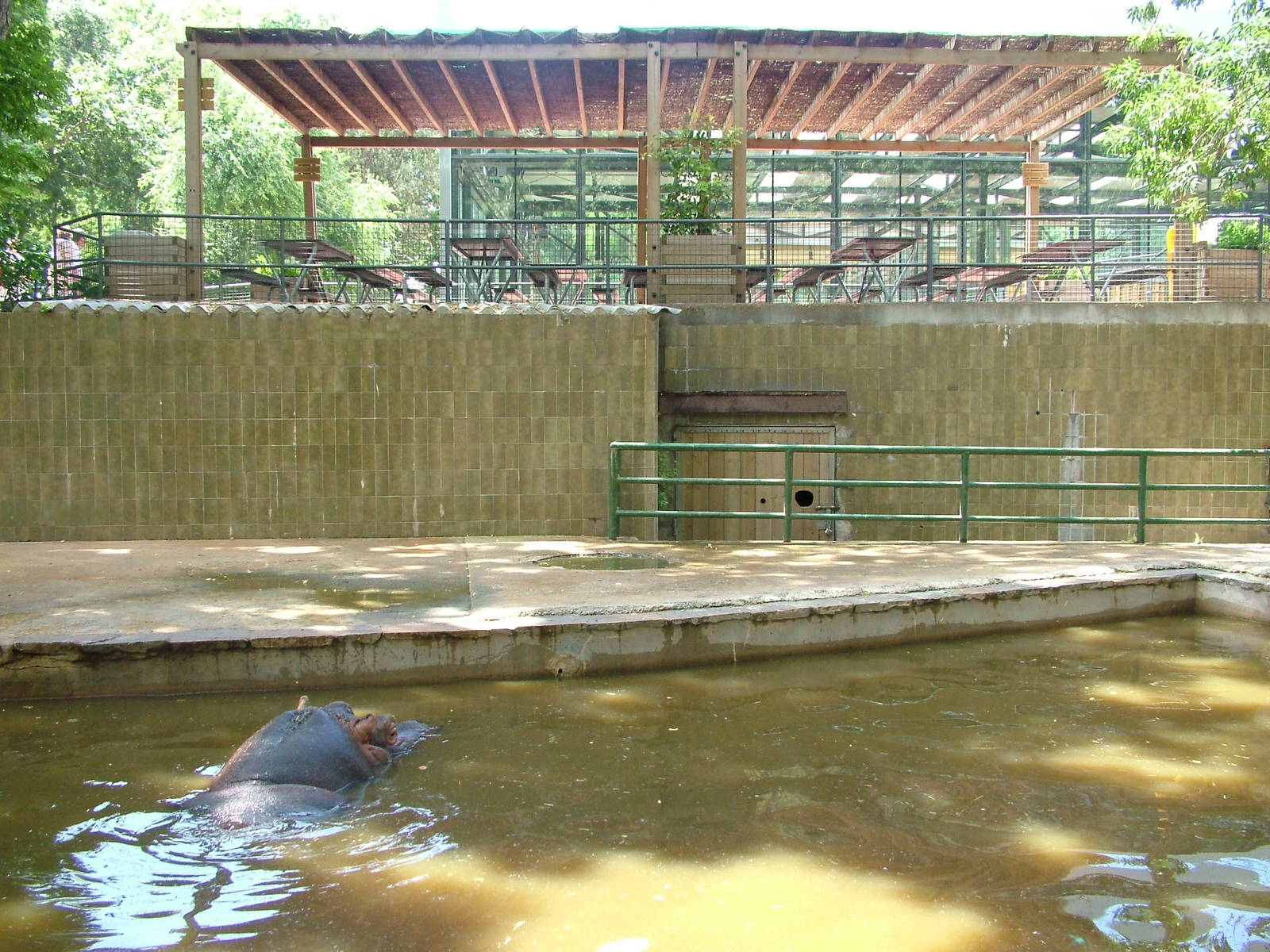 Hippo Pool at Barcelona, 30/05/11