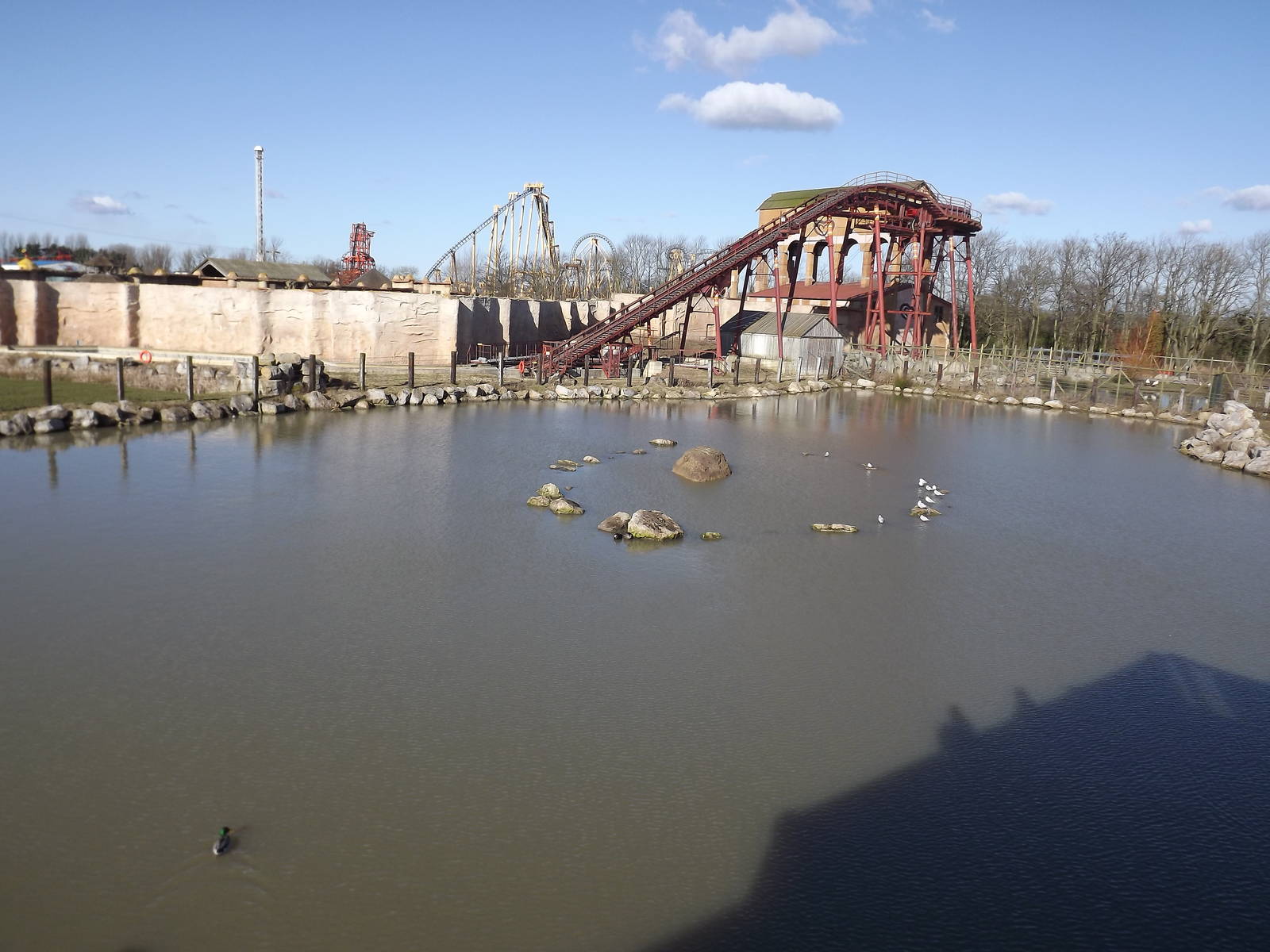 Hippo pool at Flamingoland 19/02/12