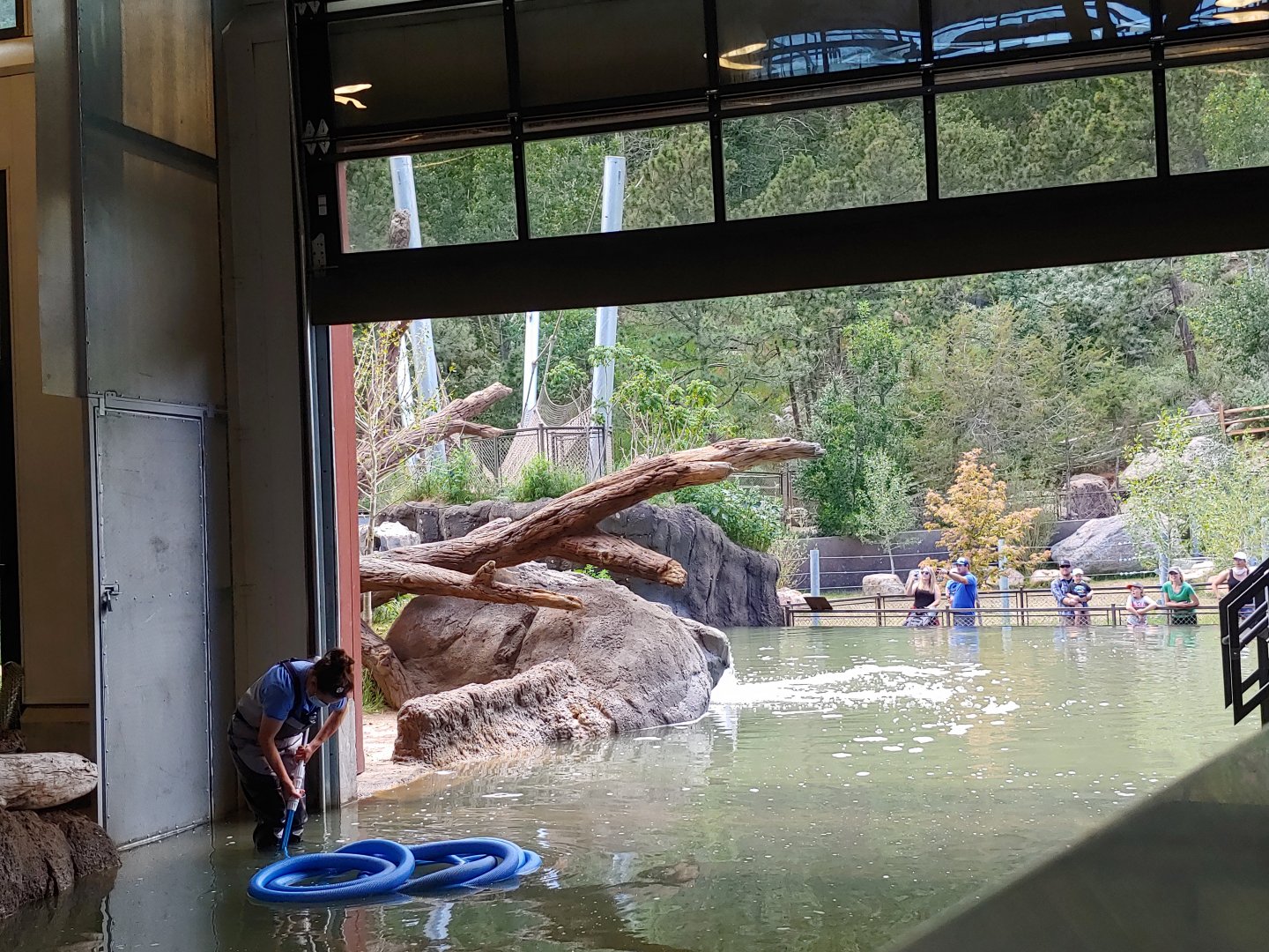 Hippo Pool Cleaning Service