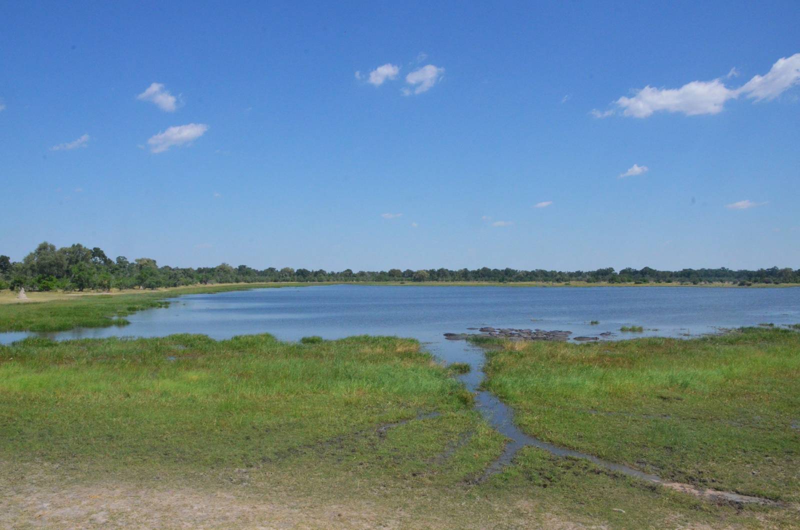 Hippo Pool, Moremi Game Reserve, Botswana, 26/04/16