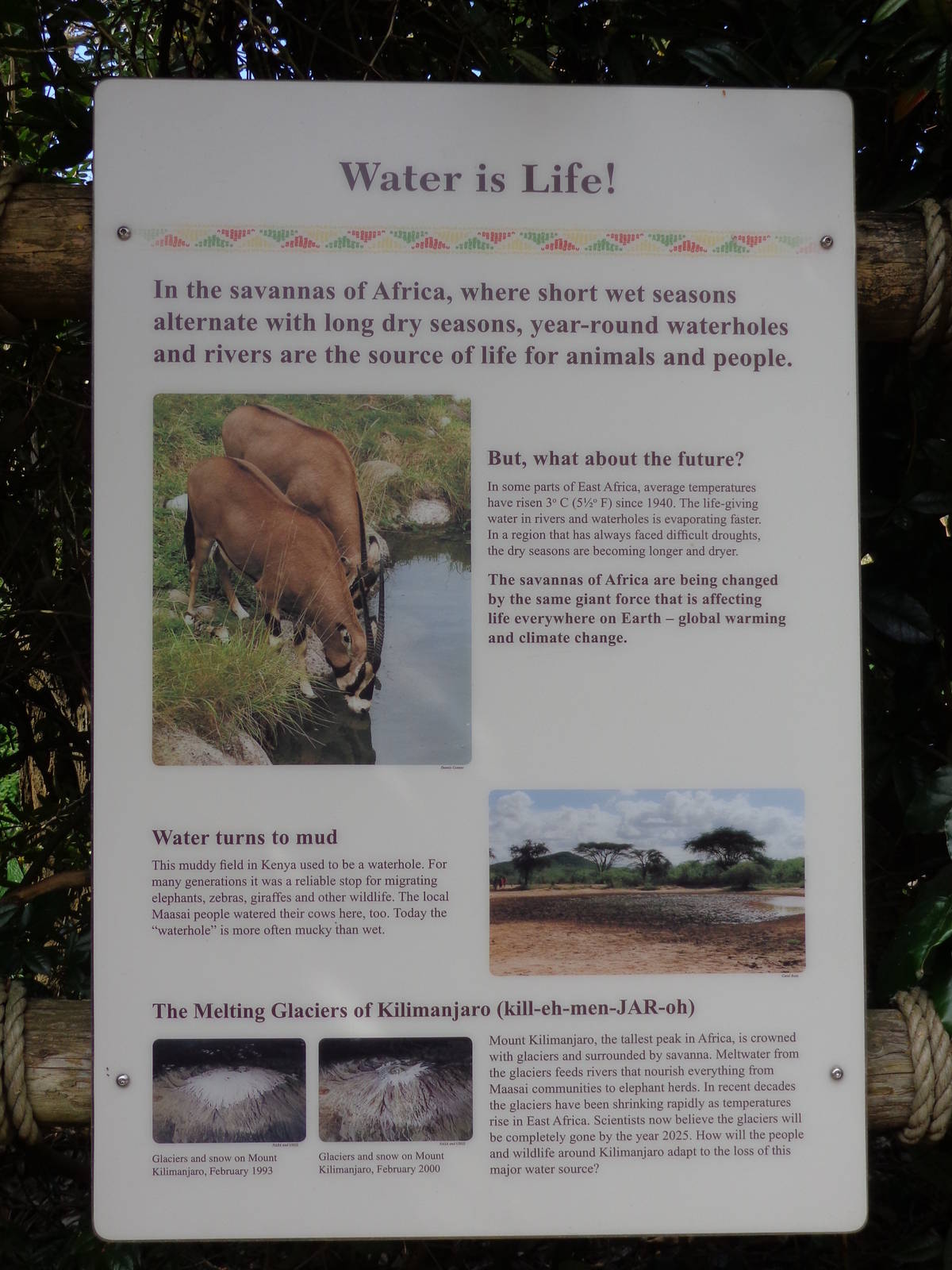 Hippo Pool Signage