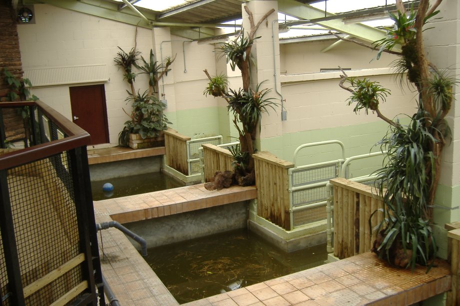 Hippo Pools in Marwell's Semi-aquatic Mammal House 2007