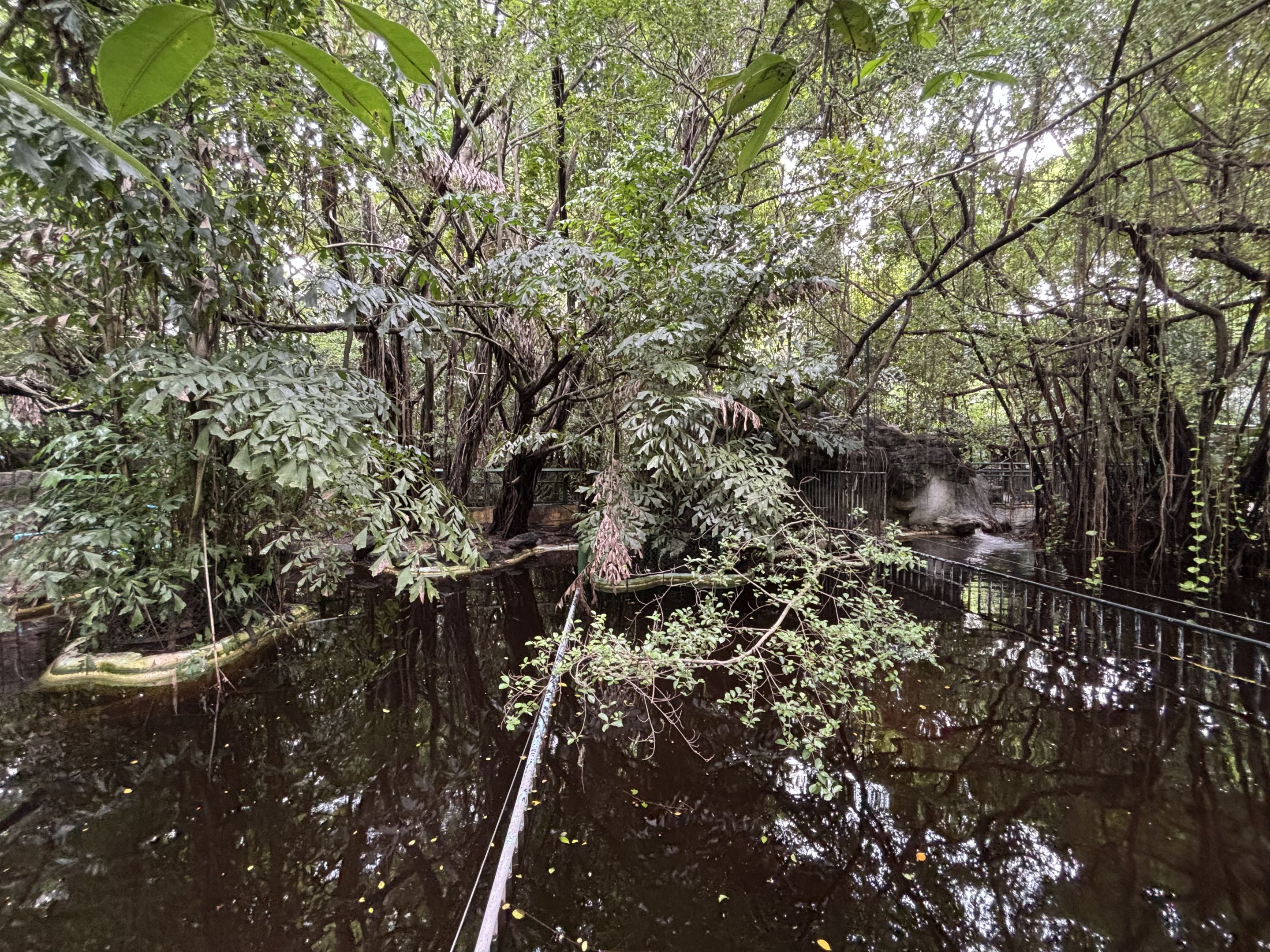 Hippo Pools - under construction