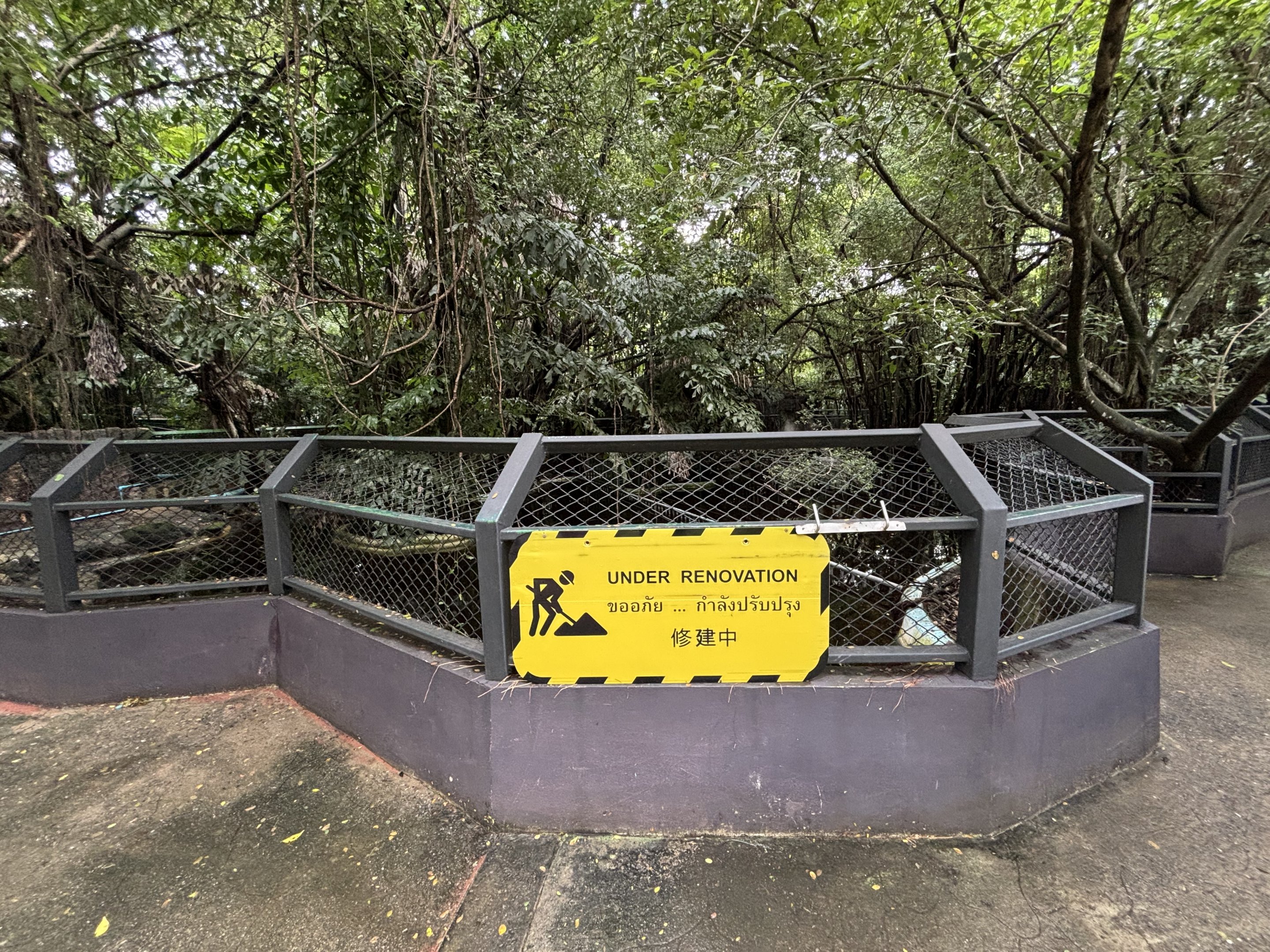 Hippo Pools - under construction