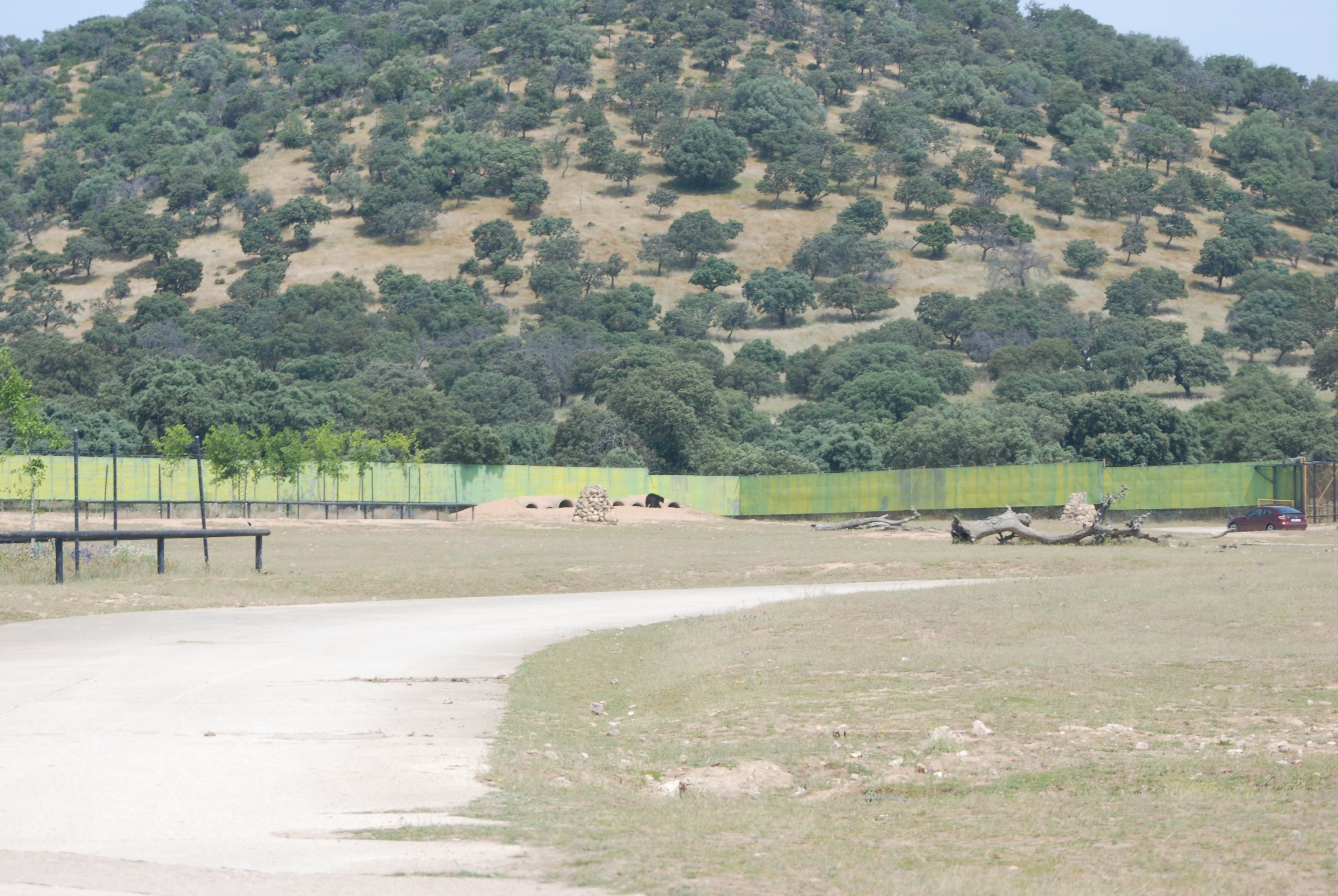 Hippo, Rhino, Zebra, Baboon and American Black Bear Reserve at Safari Madrid, 19th May 2022