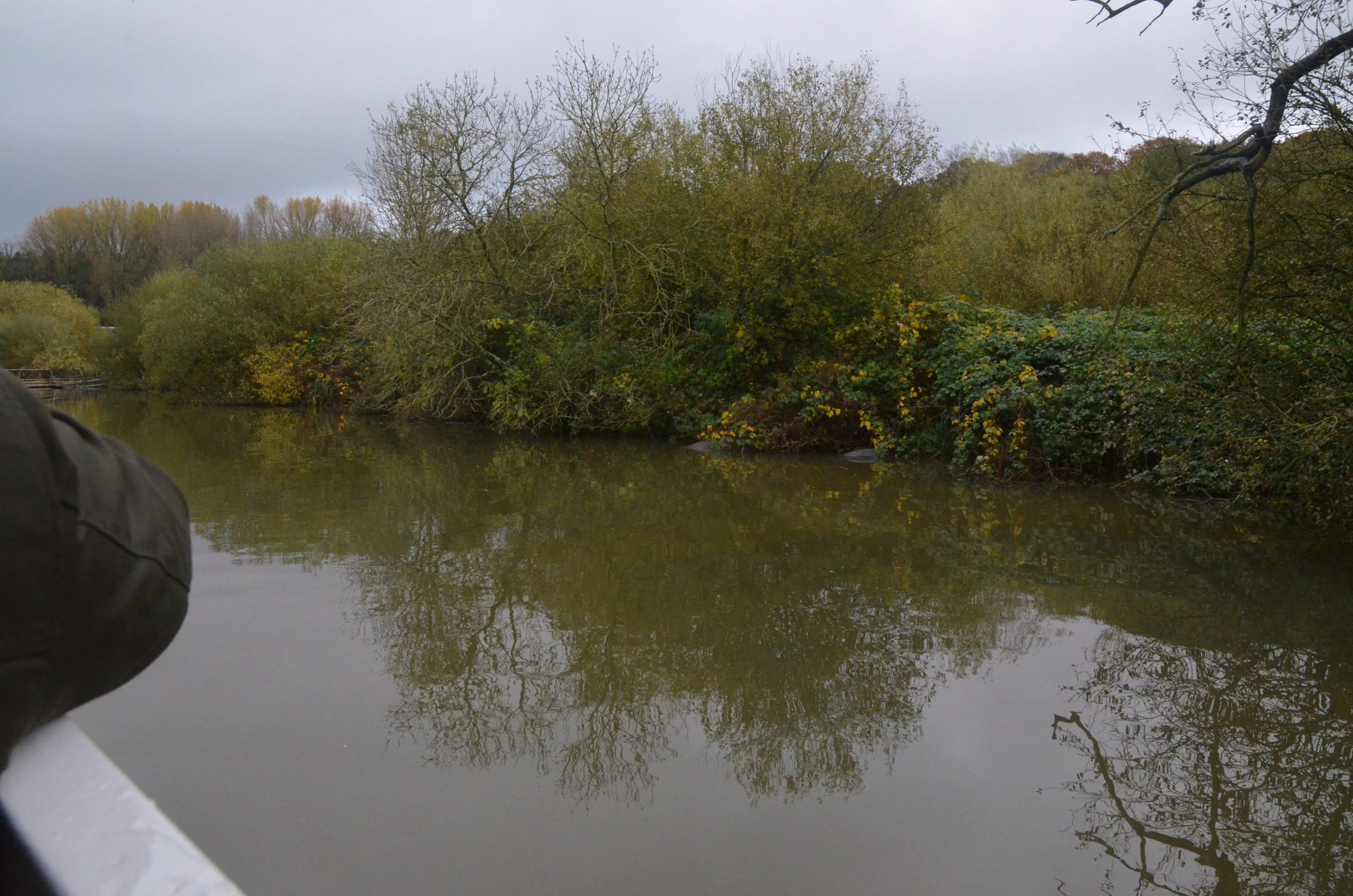 Hippo Sail-past (Half-Mile Lake) at Longleat, 03/11/19