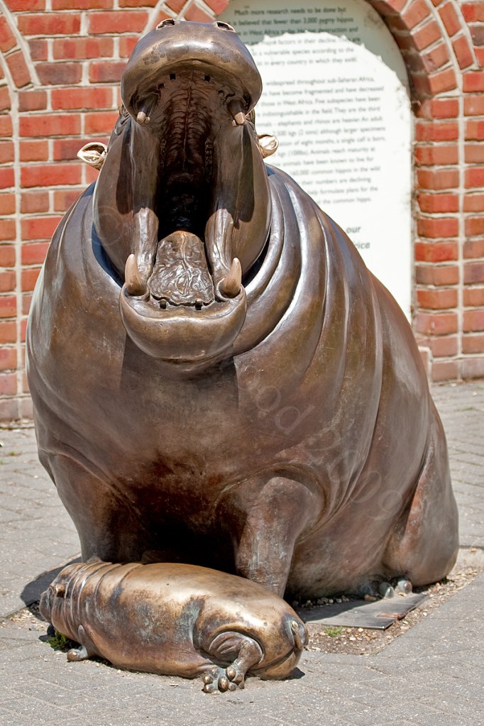 Hippo Sculpture