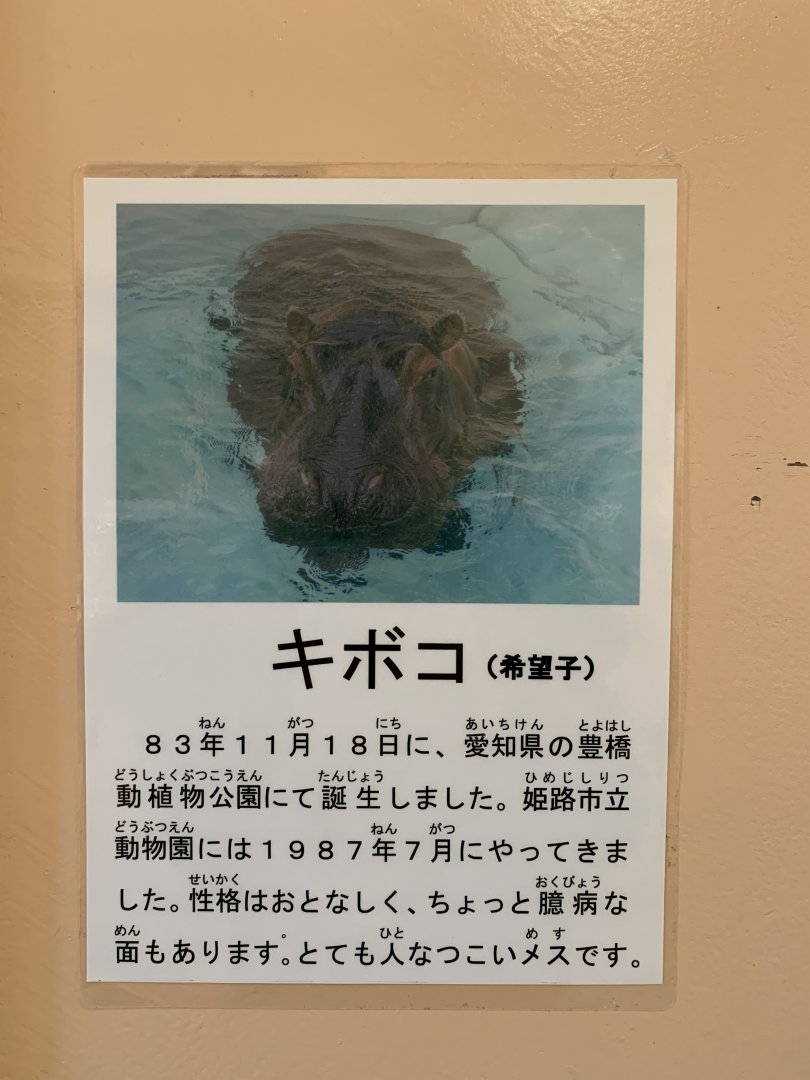 Hippo Sign (Himeji City Zoo)