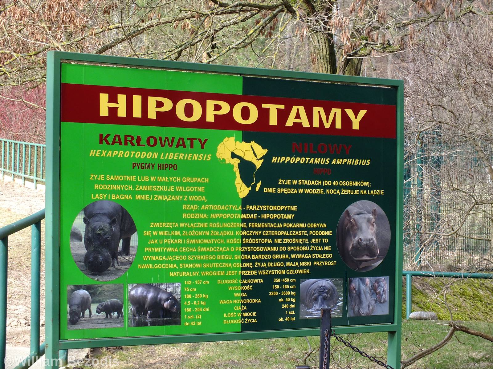 Hippo Sign