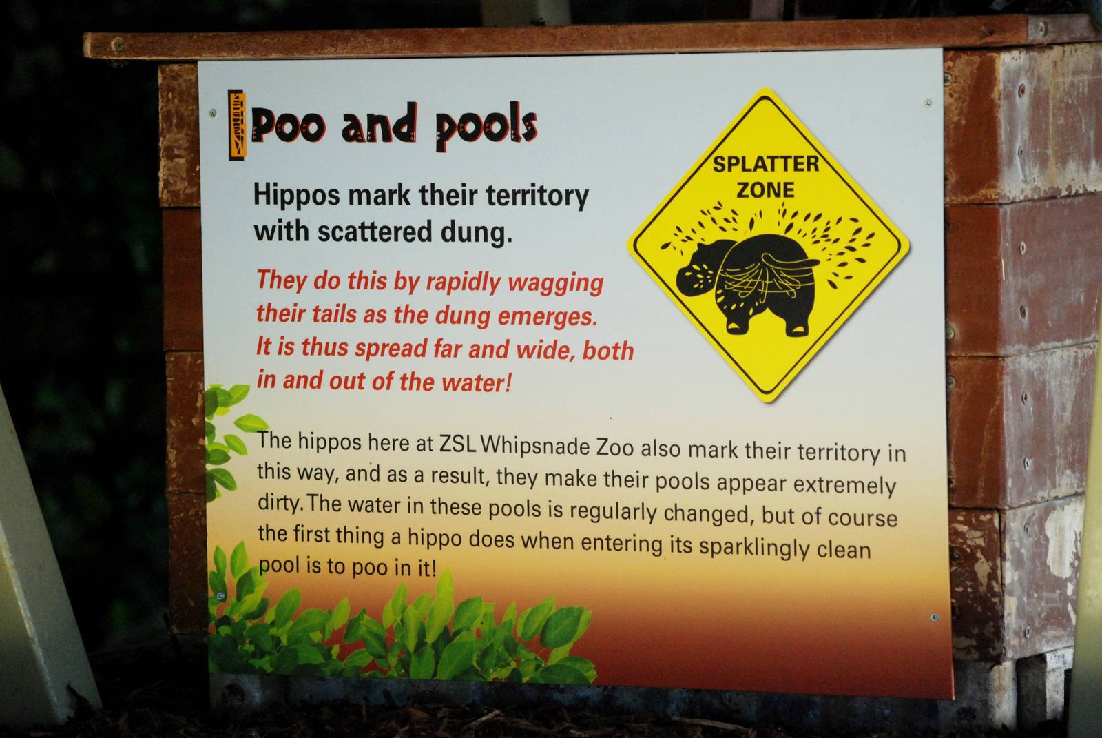 Hippo Signage at Whipsnade, 07/12/12