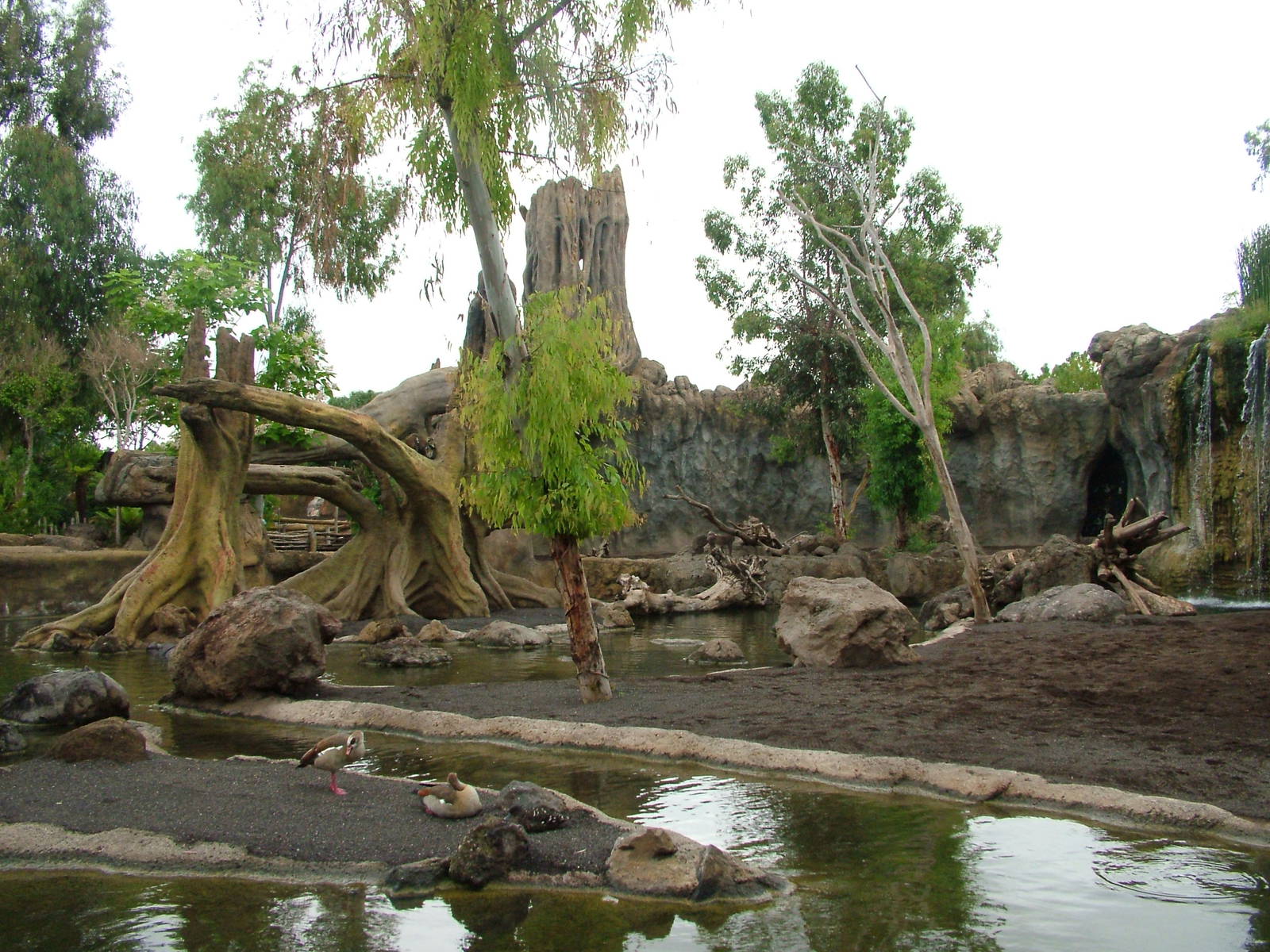 Hippo, Sitatunga and Monkey Exhibit at Bioparc Valencia, 28/05/11