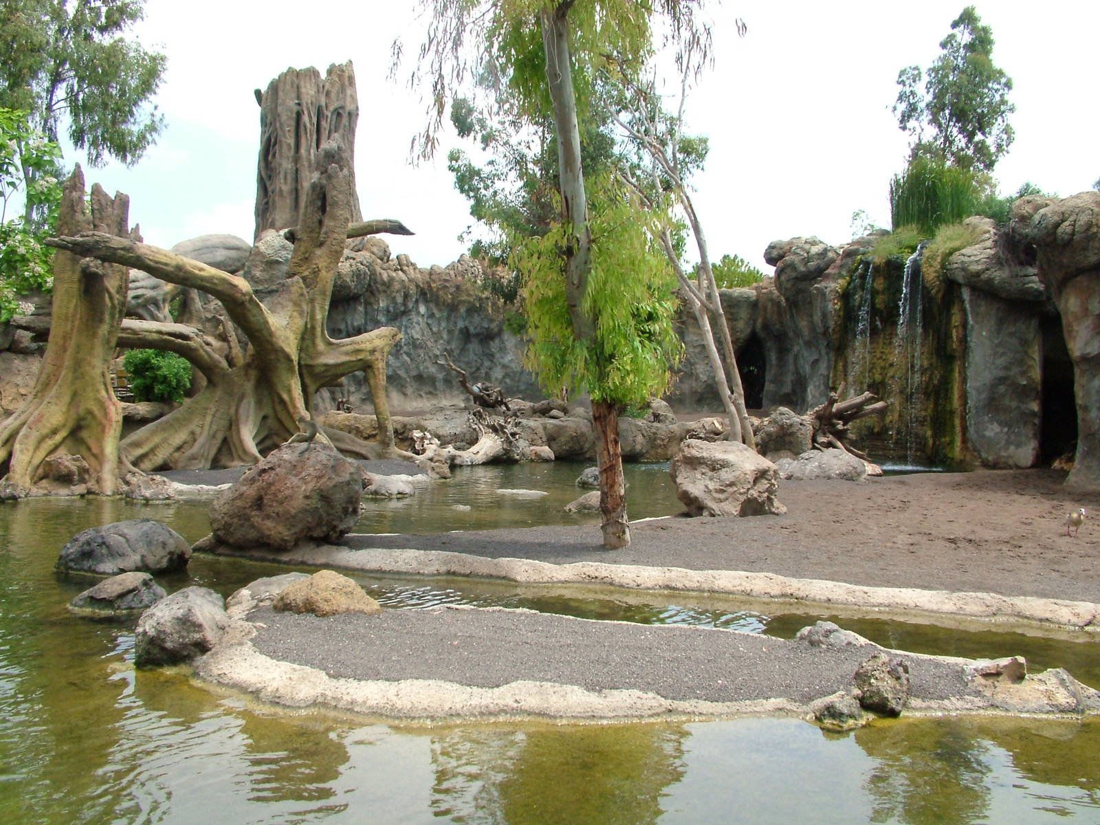 Hippo, Sitatunga and Monkey Exhibit at Bioparc Valencia, 28/05/11