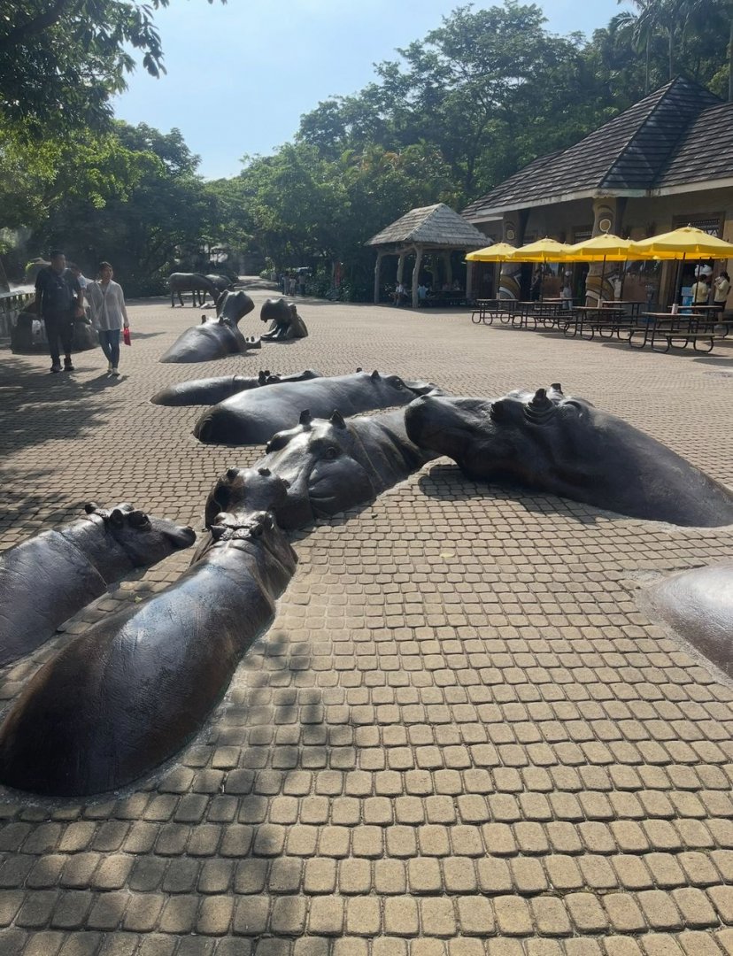 Hippo statue at Hippopotamus square