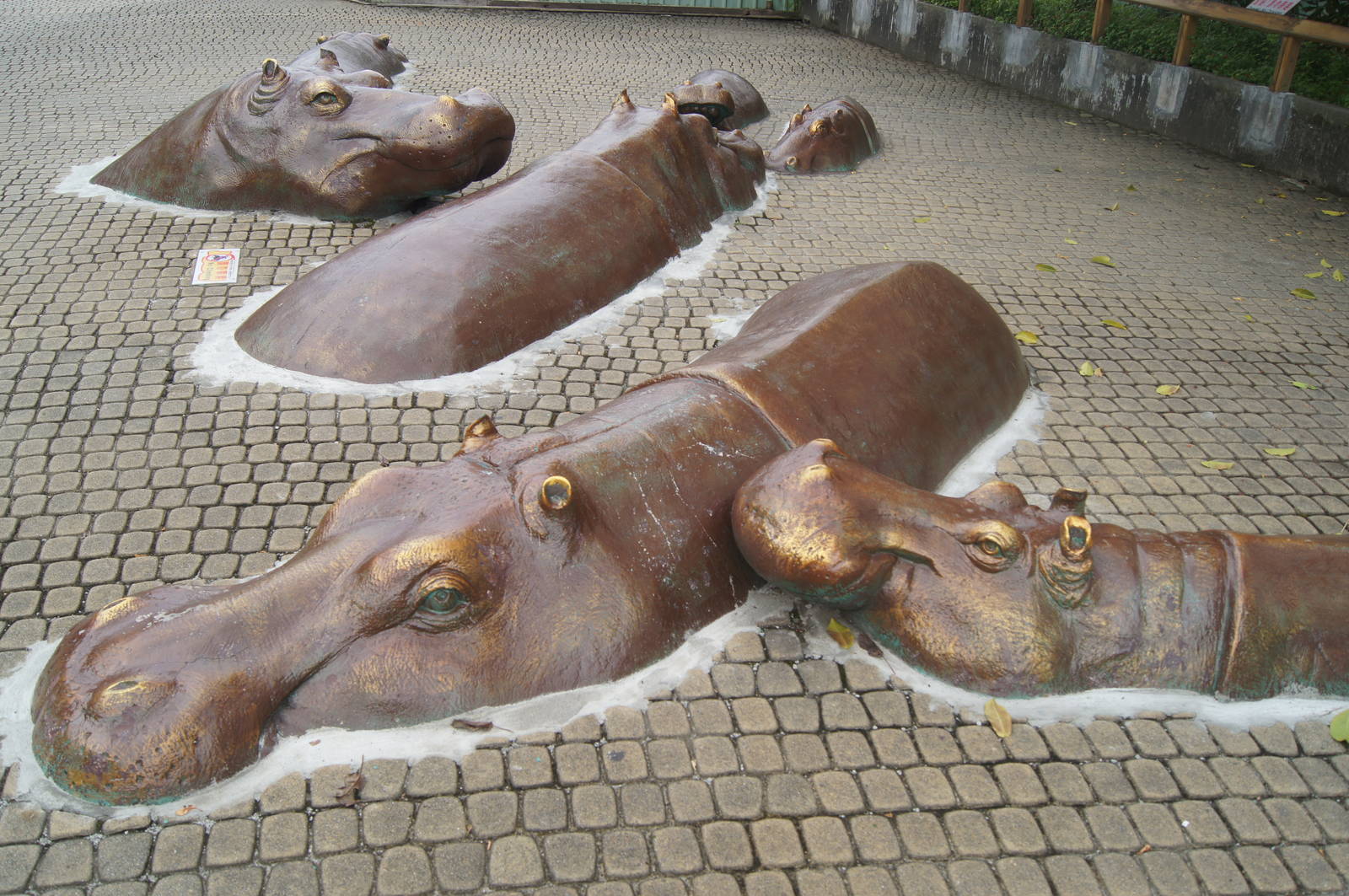 Hippo statues