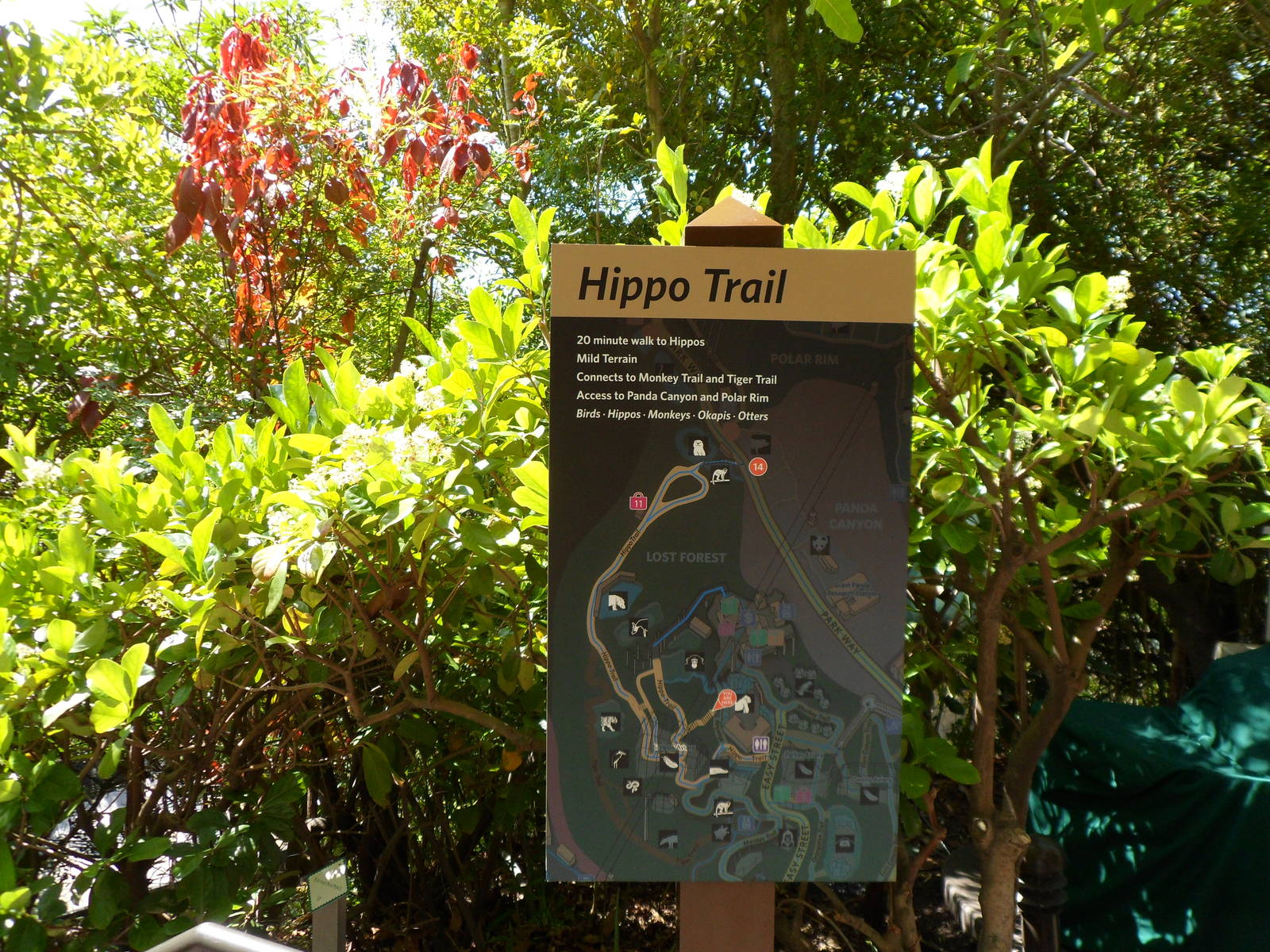 Hippo Trail Sign