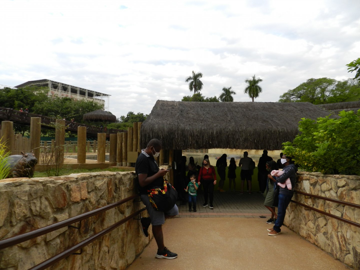 Hippo underwater viewing - BioParque do Rio