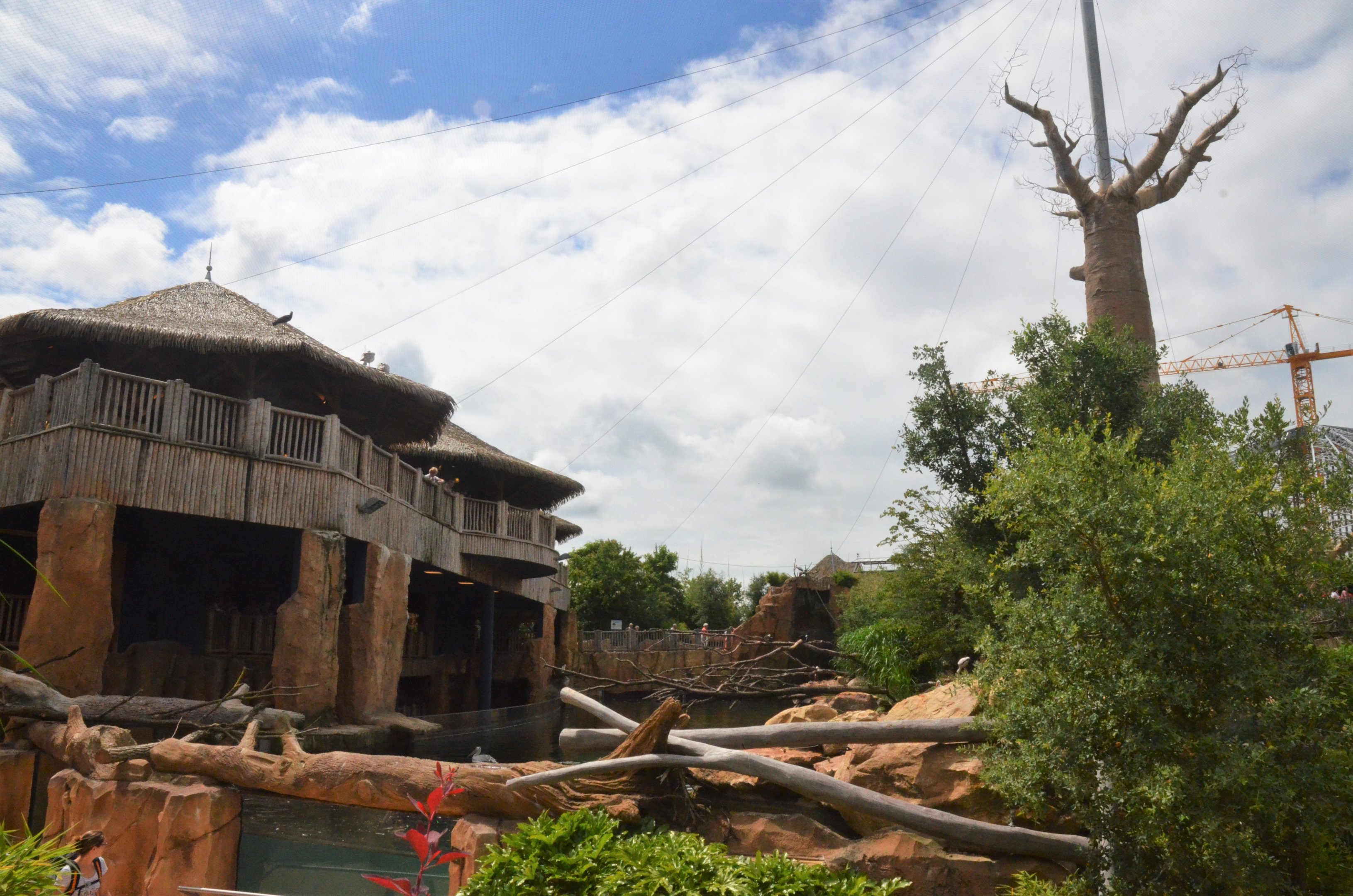 Hippo Viewing Area at Beauval, 12/06/18