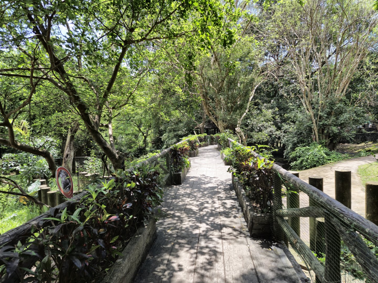 Hippo viewing platform