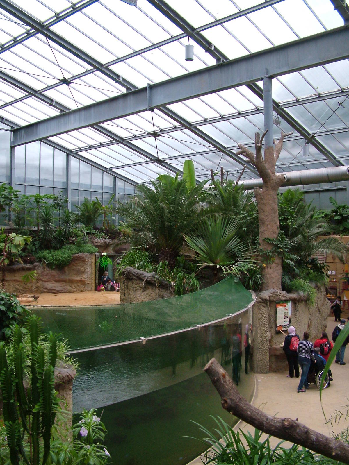 HippoDom Interior at Cologne, 07/09/10