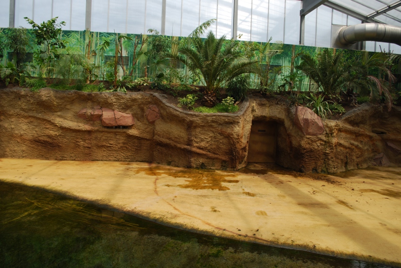 Hippodom - land area