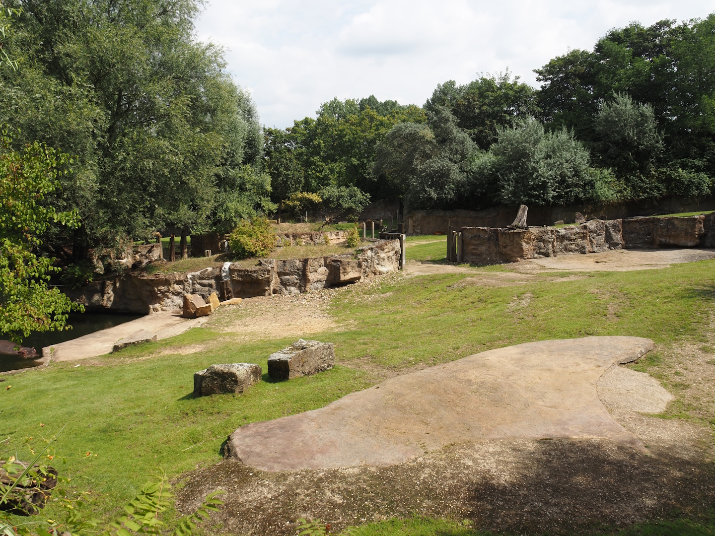 Hippopotamus and Western sitatunga exhibit, 2024-08-05