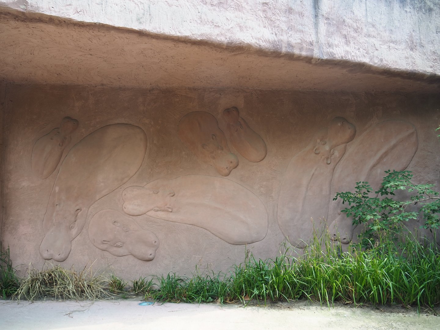Hippopotamus artwork on the side of the hippopotamus house, 2019