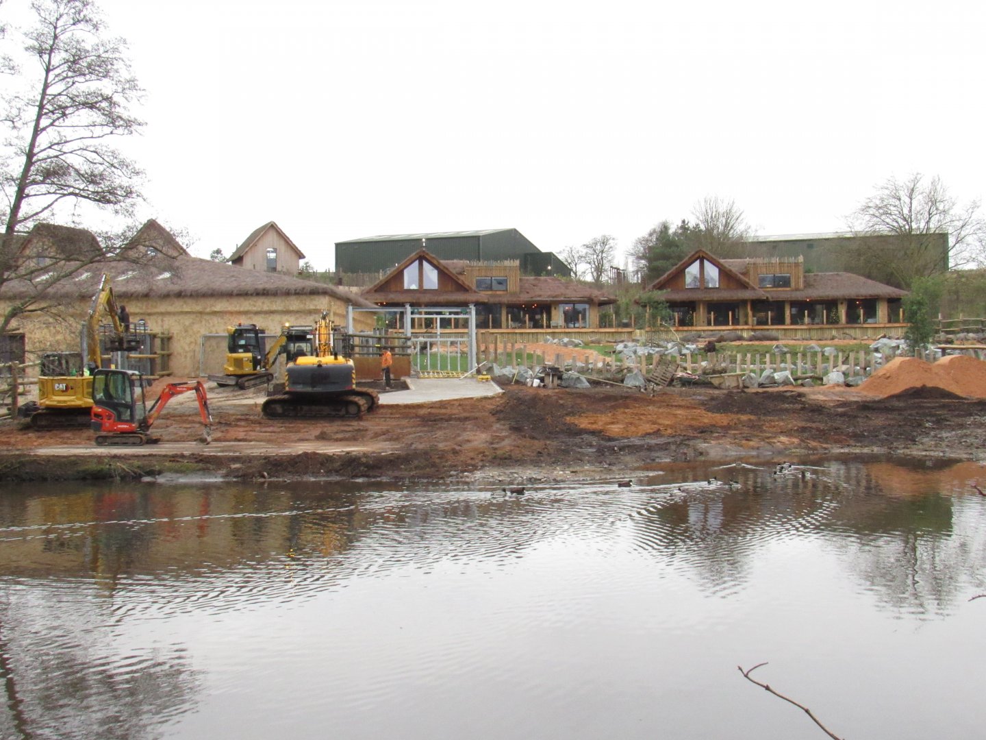 Hippopotamus development