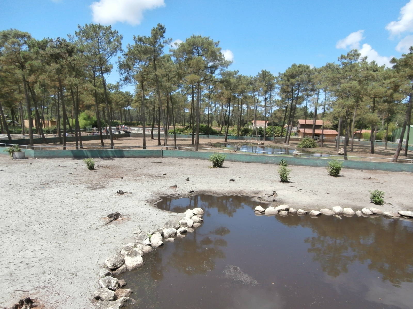 Hippopotamus enclosure