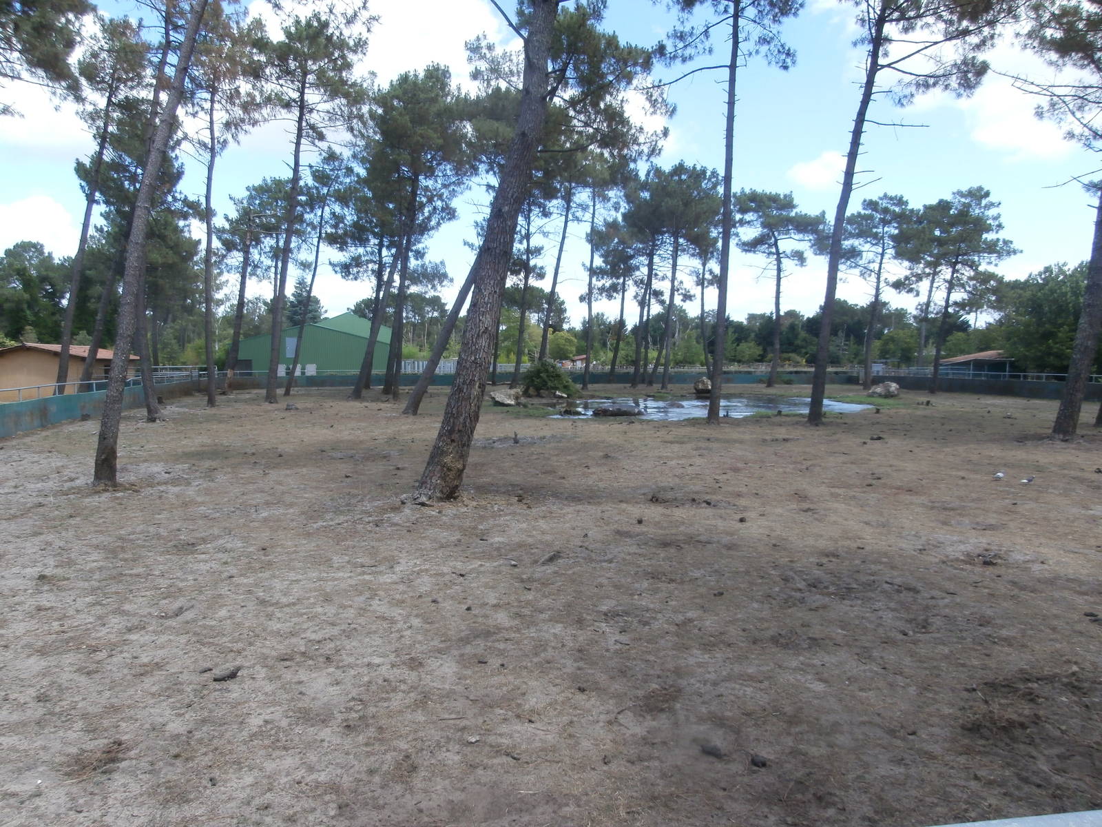 Hippopotamus enclosure