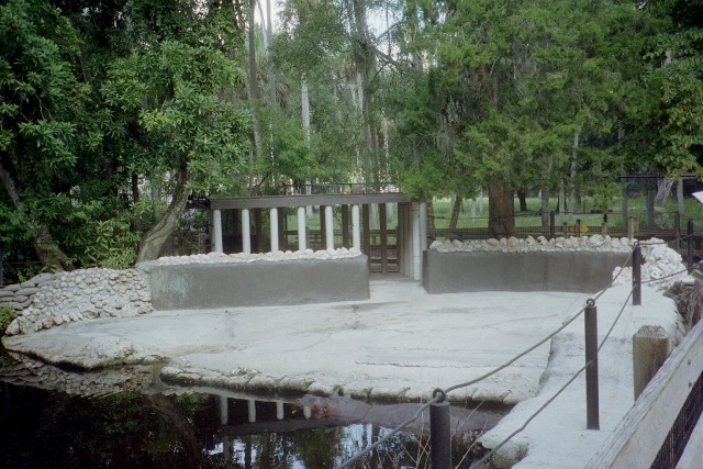 Hippopotamus Enclosure