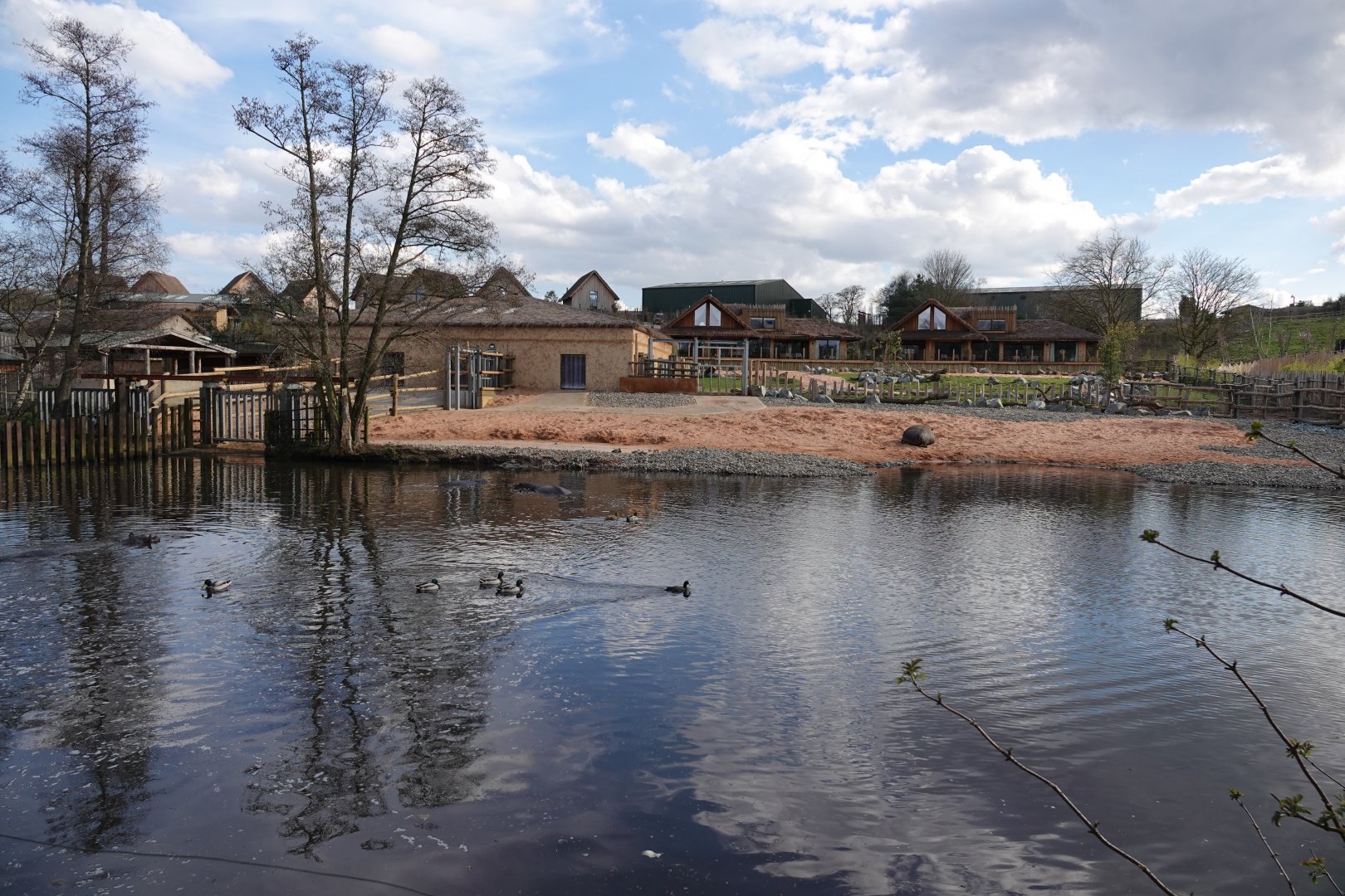 Hippopotamus enclosure
