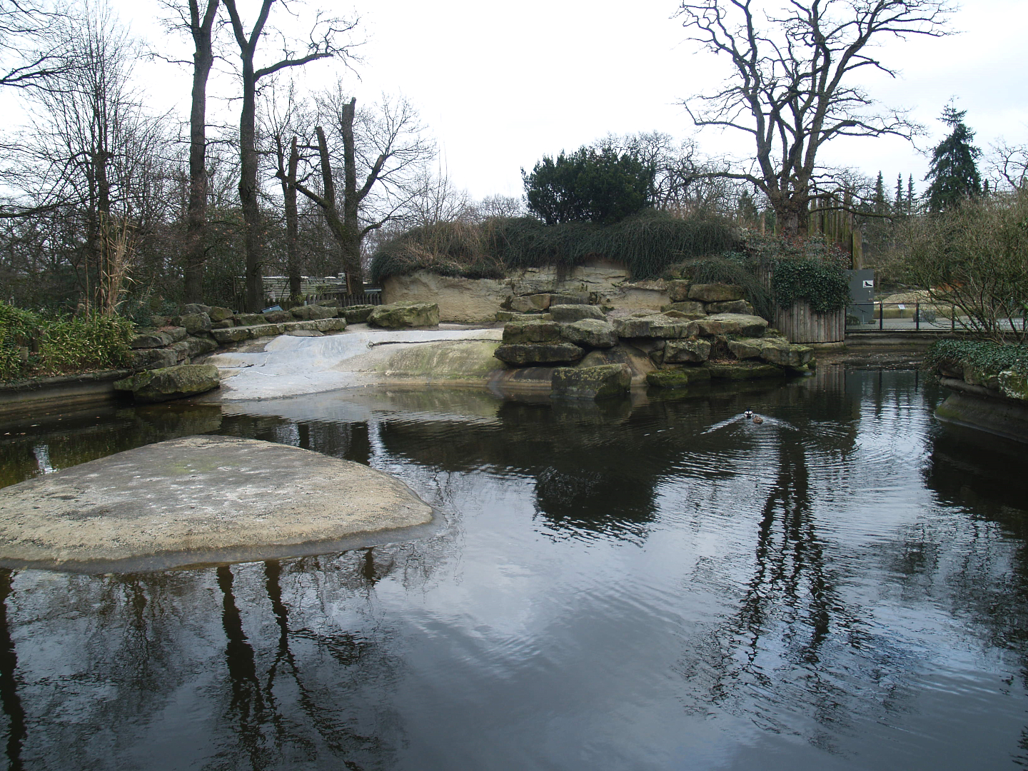 Hippopotamus exhibit, 2008-03-01