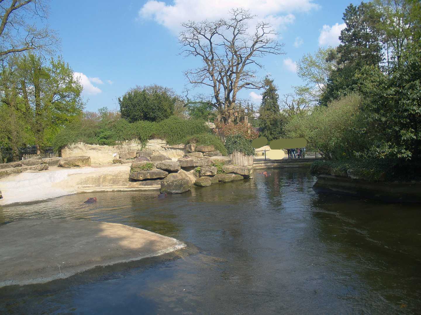 Hippopotamus exhibit, 2009-04-19
