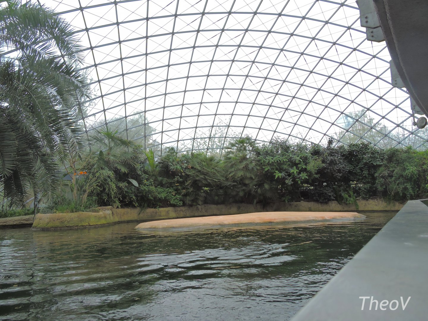 Hippopotamus exhibit [2017]