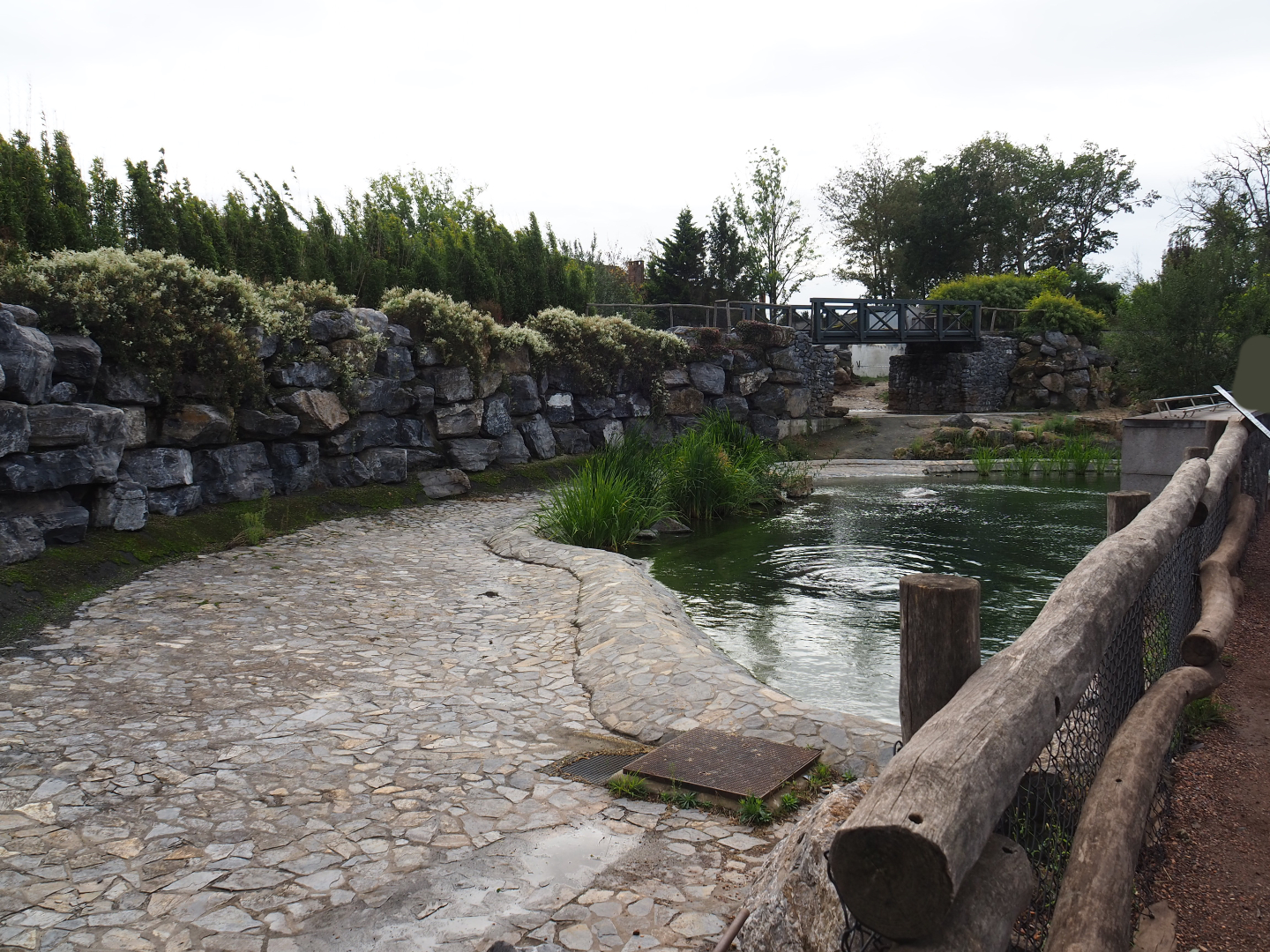 Hippopotamus exhibit, 2019-10-04