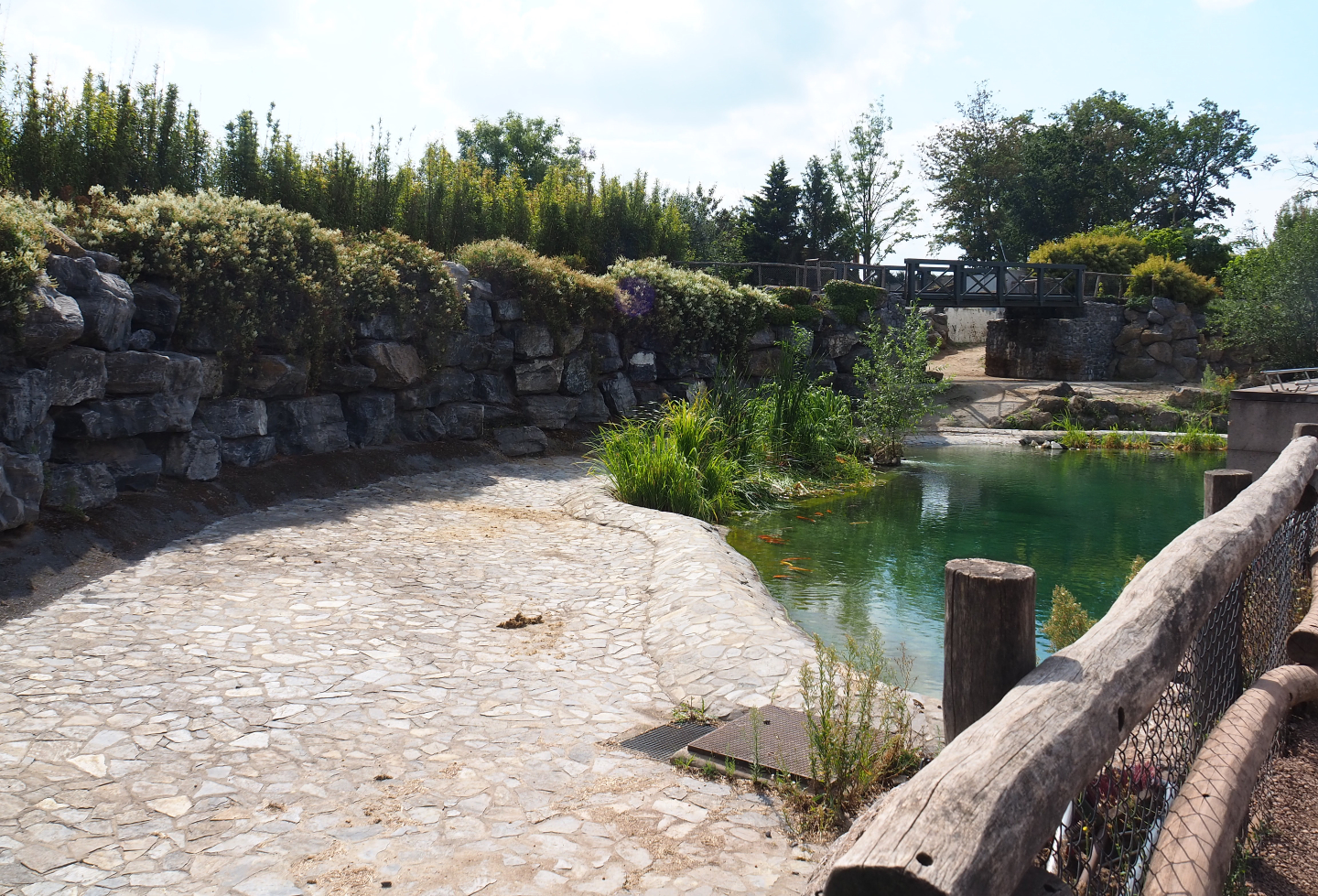 Hippopotamus exhibit, 2020-09-02