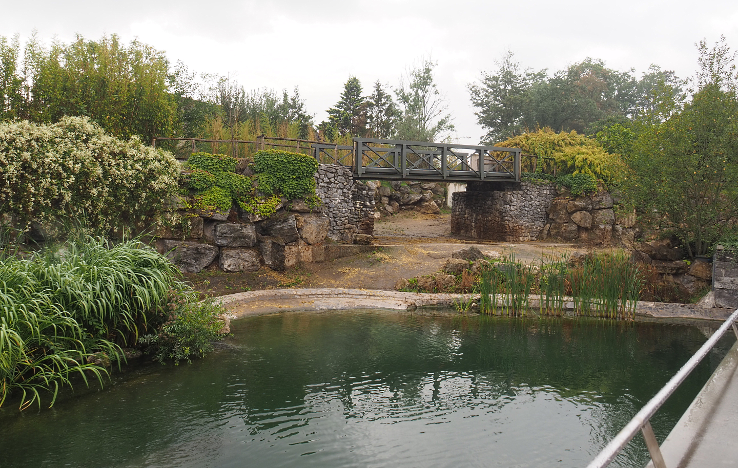 Hippopotamus exhibit, 2022-09-15