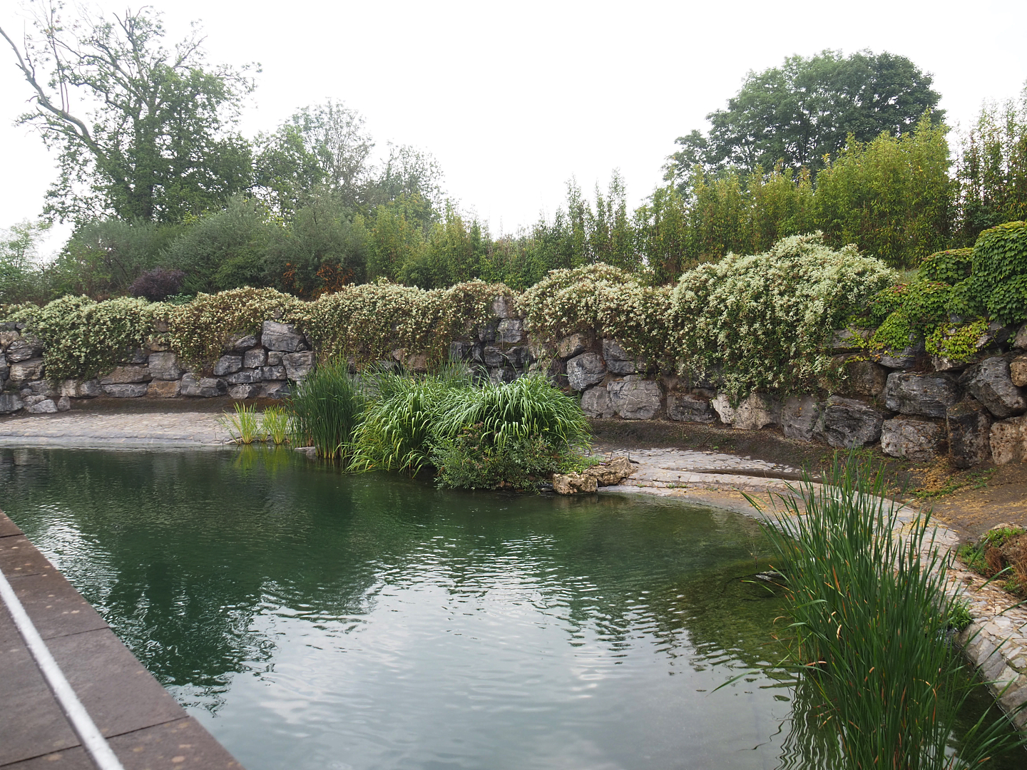 Hippopotamus exhibit, 2022-09-15