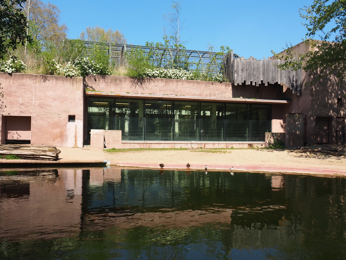 Hippopotamus exhibit and house, 2019-04-20