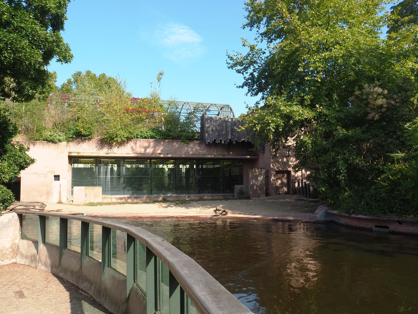 Hippopotamus exhibit and house, 2020-09-20