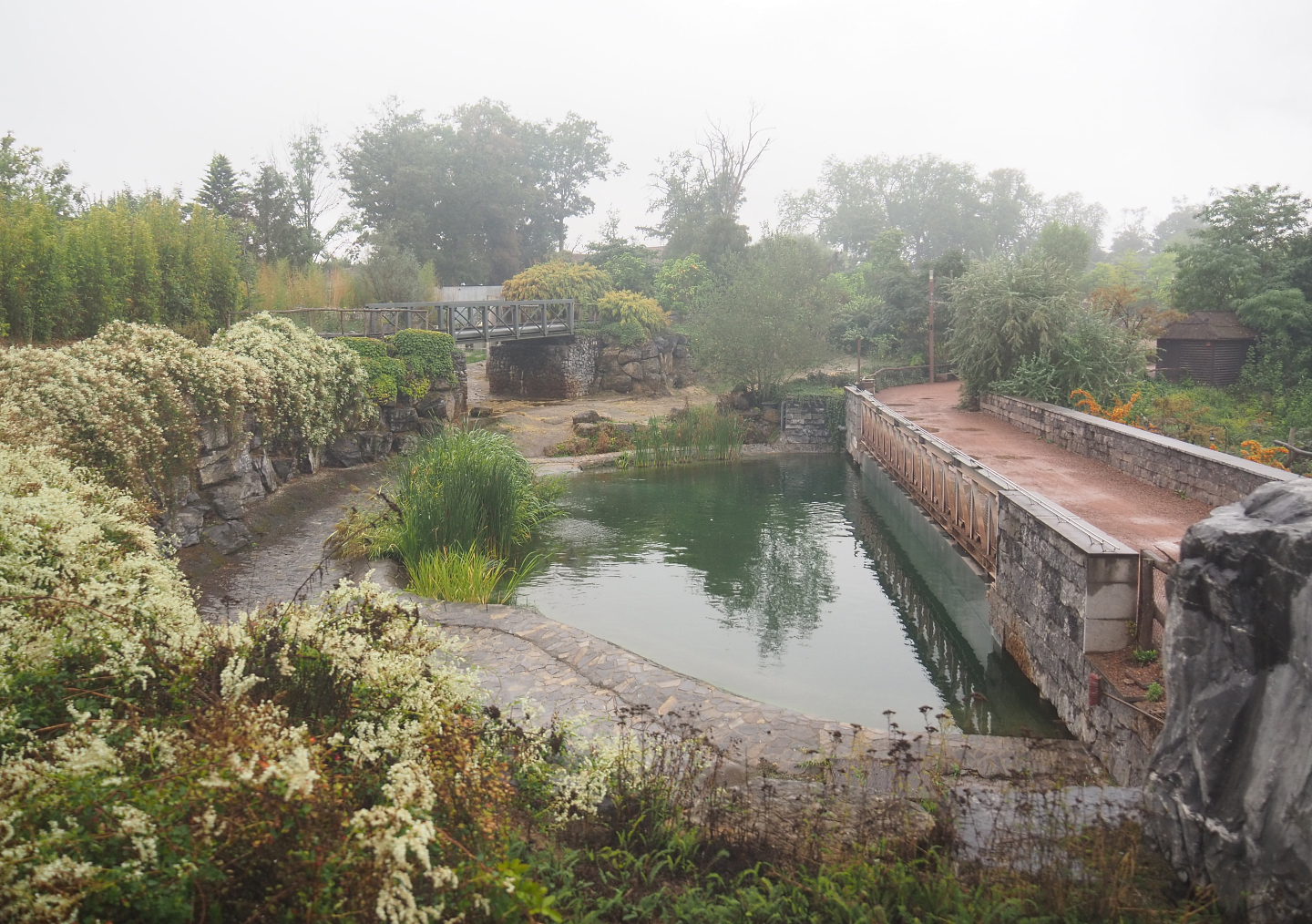 Hippopotamus exhibit and walkway seen from the train, 2022-09-14