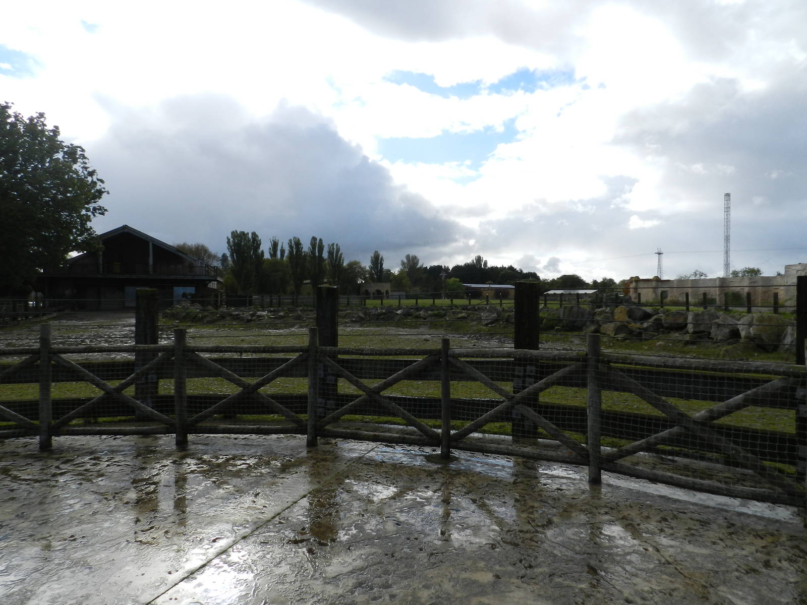 Hippopotamus Exhibit at Flamingo Land - 14/10/2012