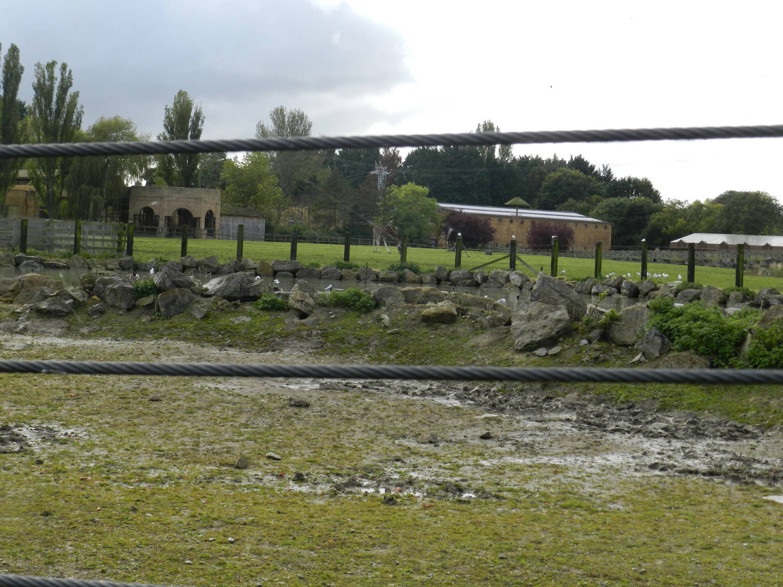Hippopotamus Exhibit at Flamingo Land - 14/10/2012