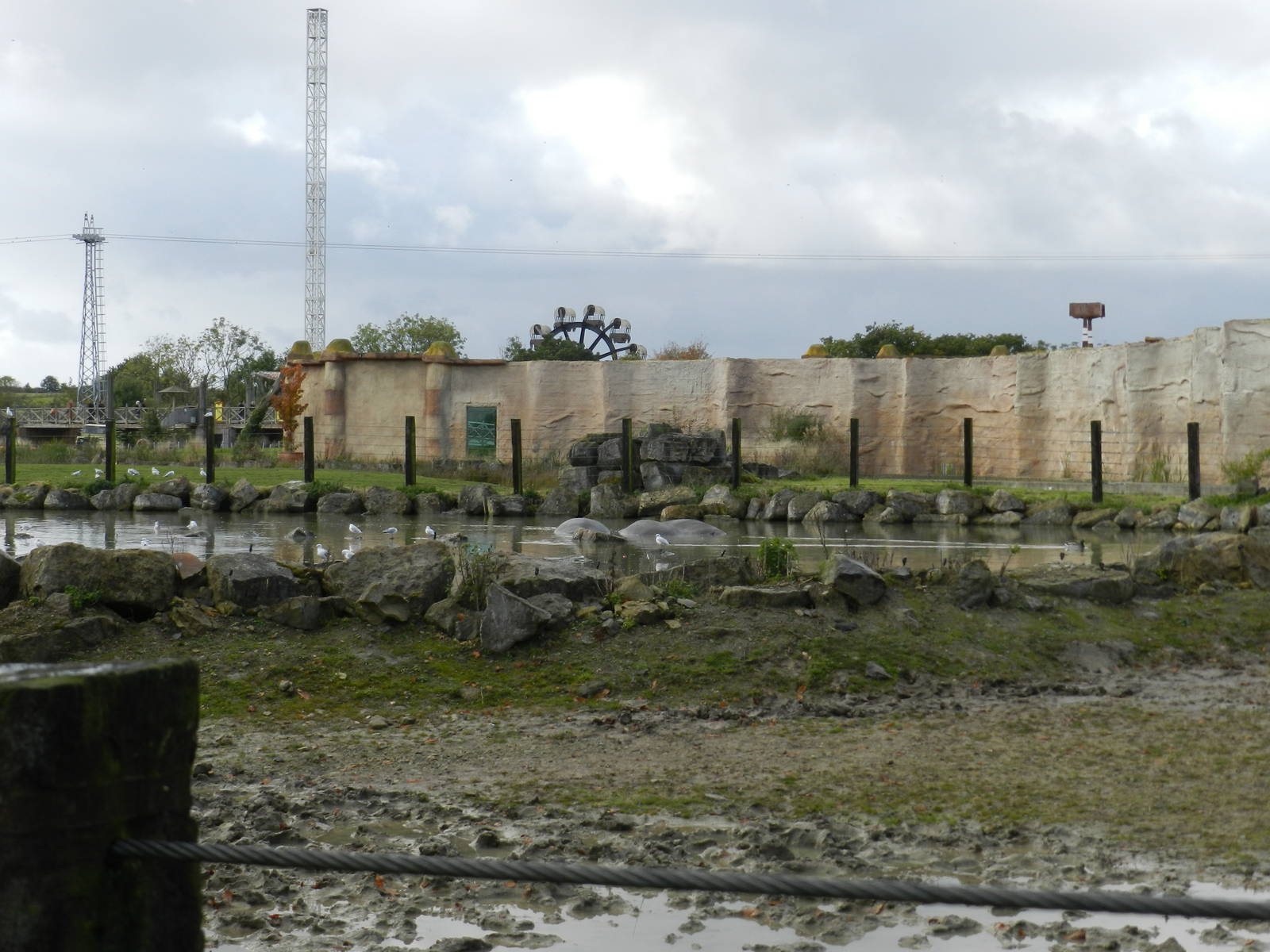 Hippopotamus Exhibit at Flamingo Land - 14/10/2012