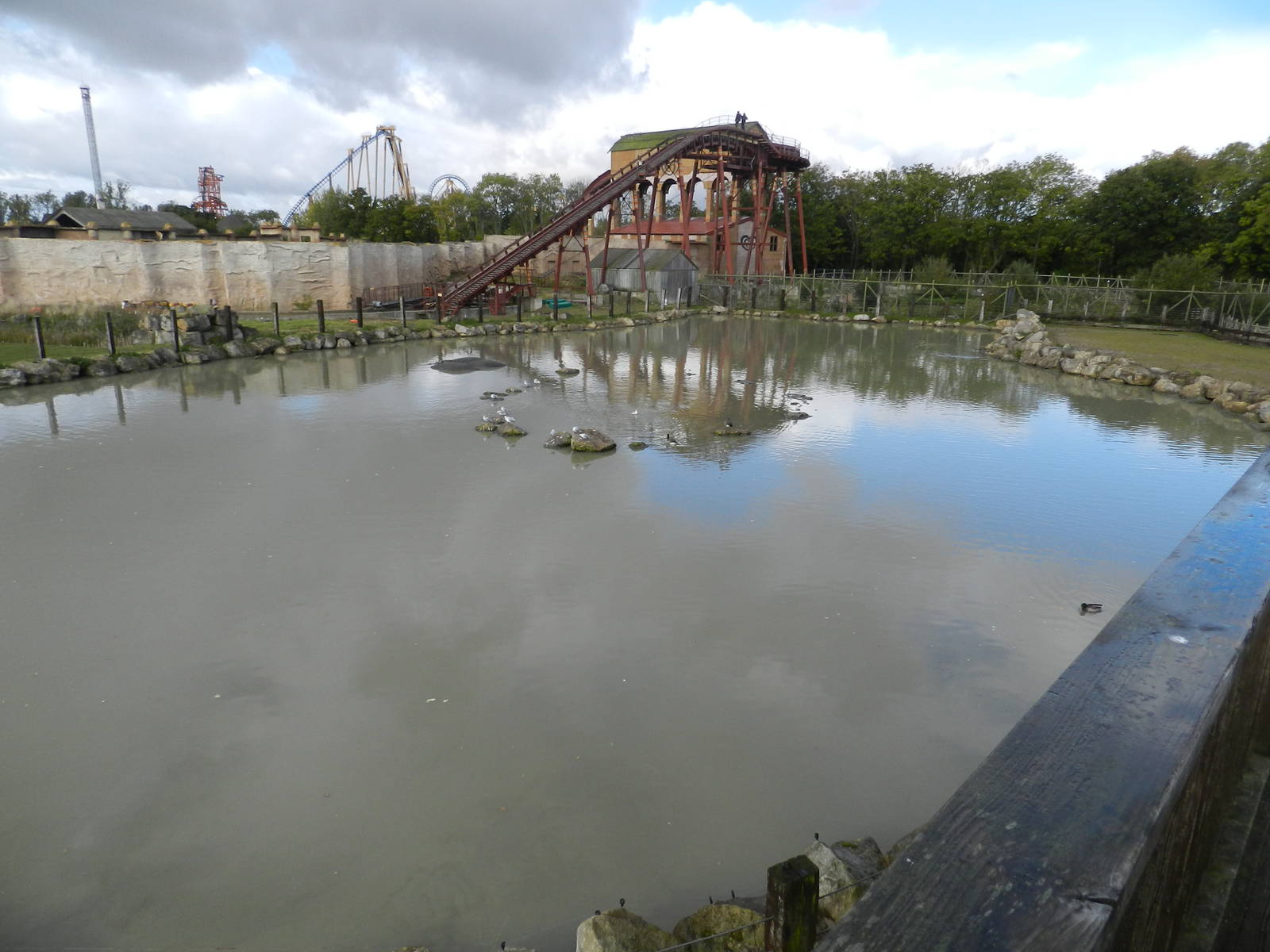 Hippopotamus Exhibit at Flamingo Land - 14/10/2012